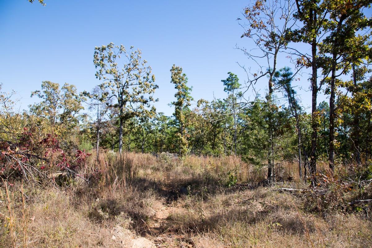 Stone Creek Phase I Tract 158 photo 8