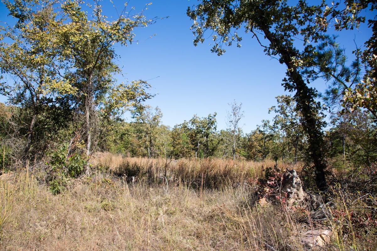 Stone Creek Phase I Tract 158 photo 9