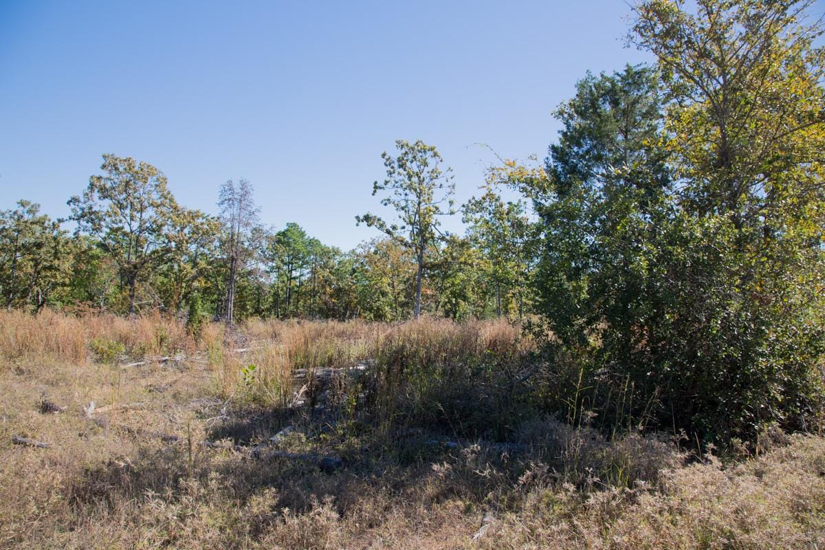 Stone Creek Phase I Tract 158 photo 12