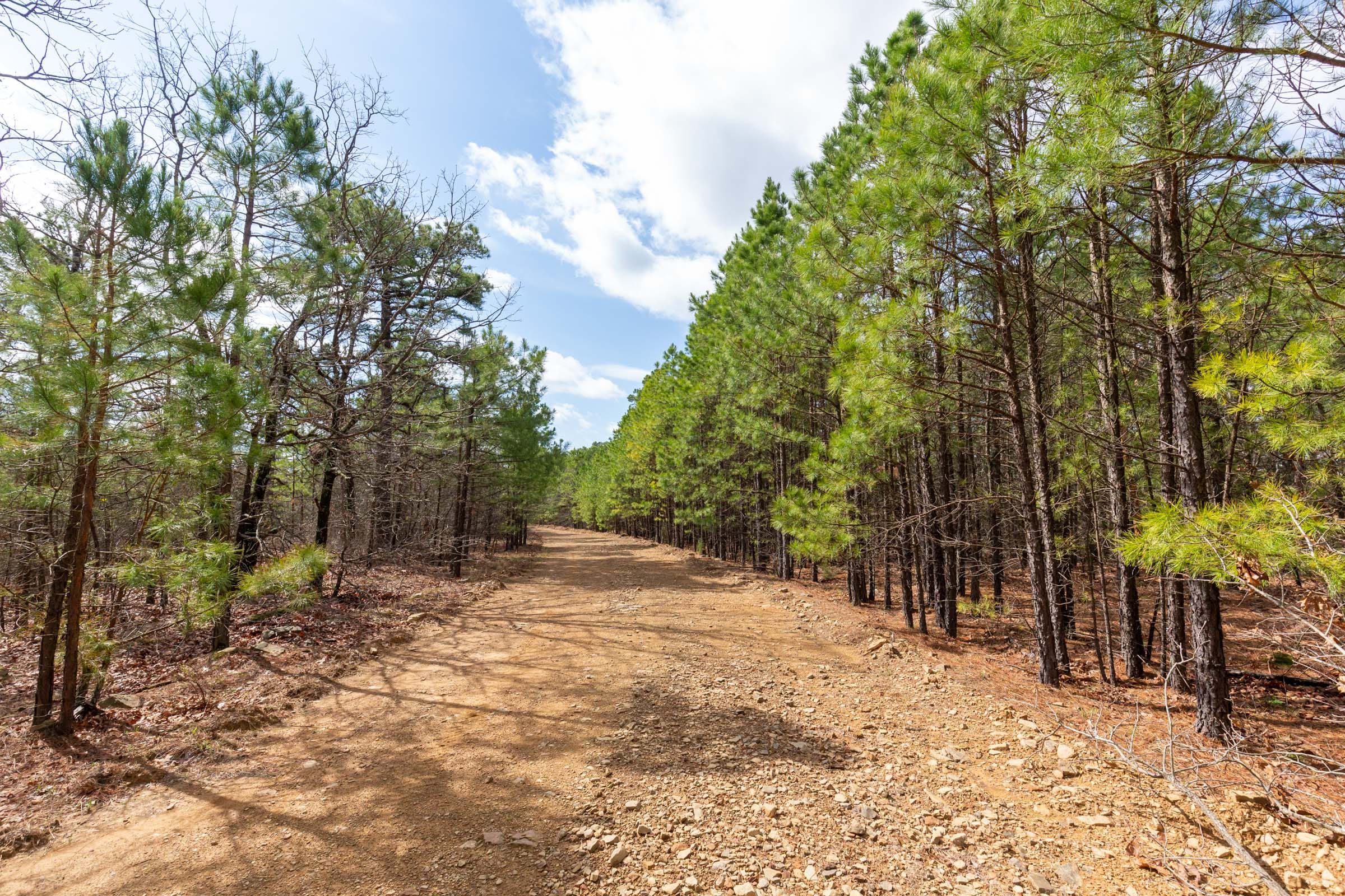 Stone Bridge Phase III Tract 183 photo 1