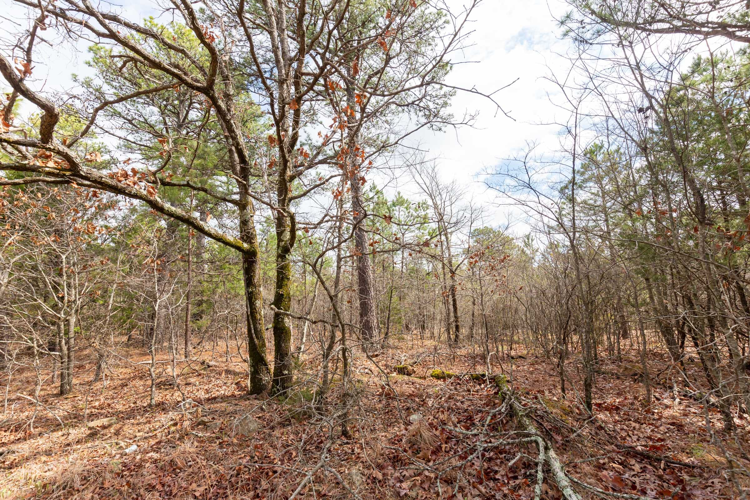 Stone Bridge Phase III Tract 183 photo 3