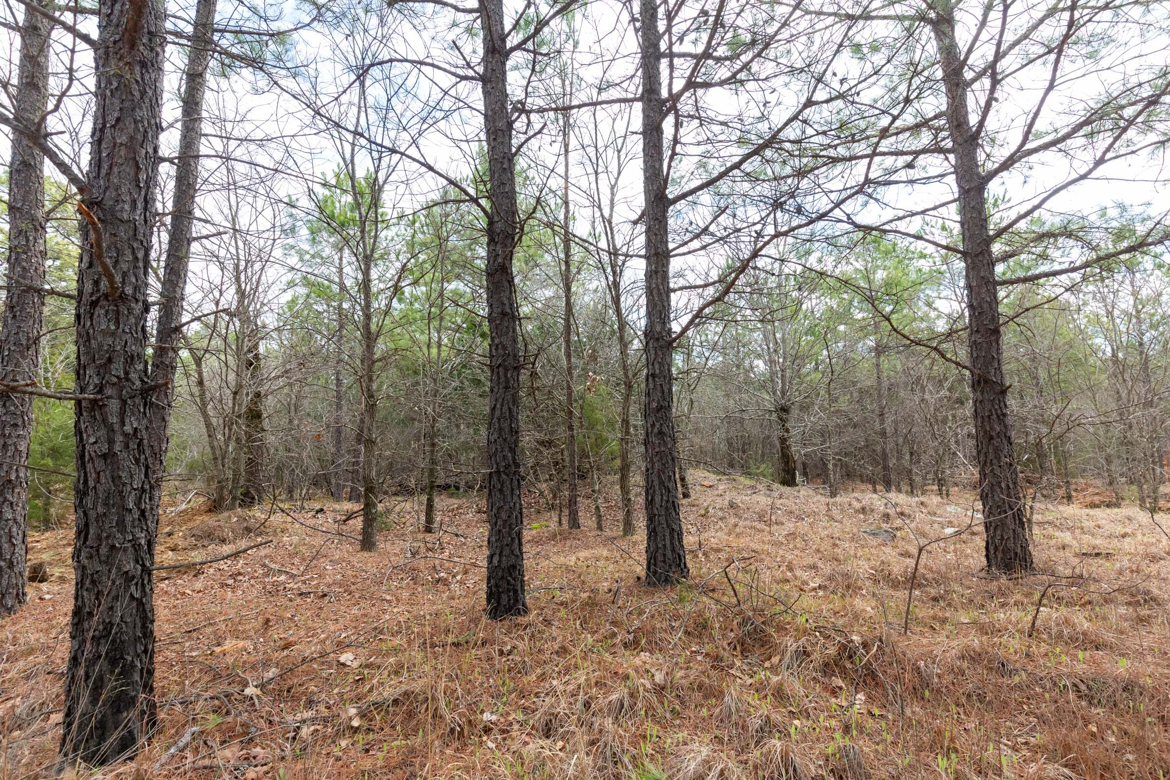 Stone Bridge Phase III Tract 183 photo 10