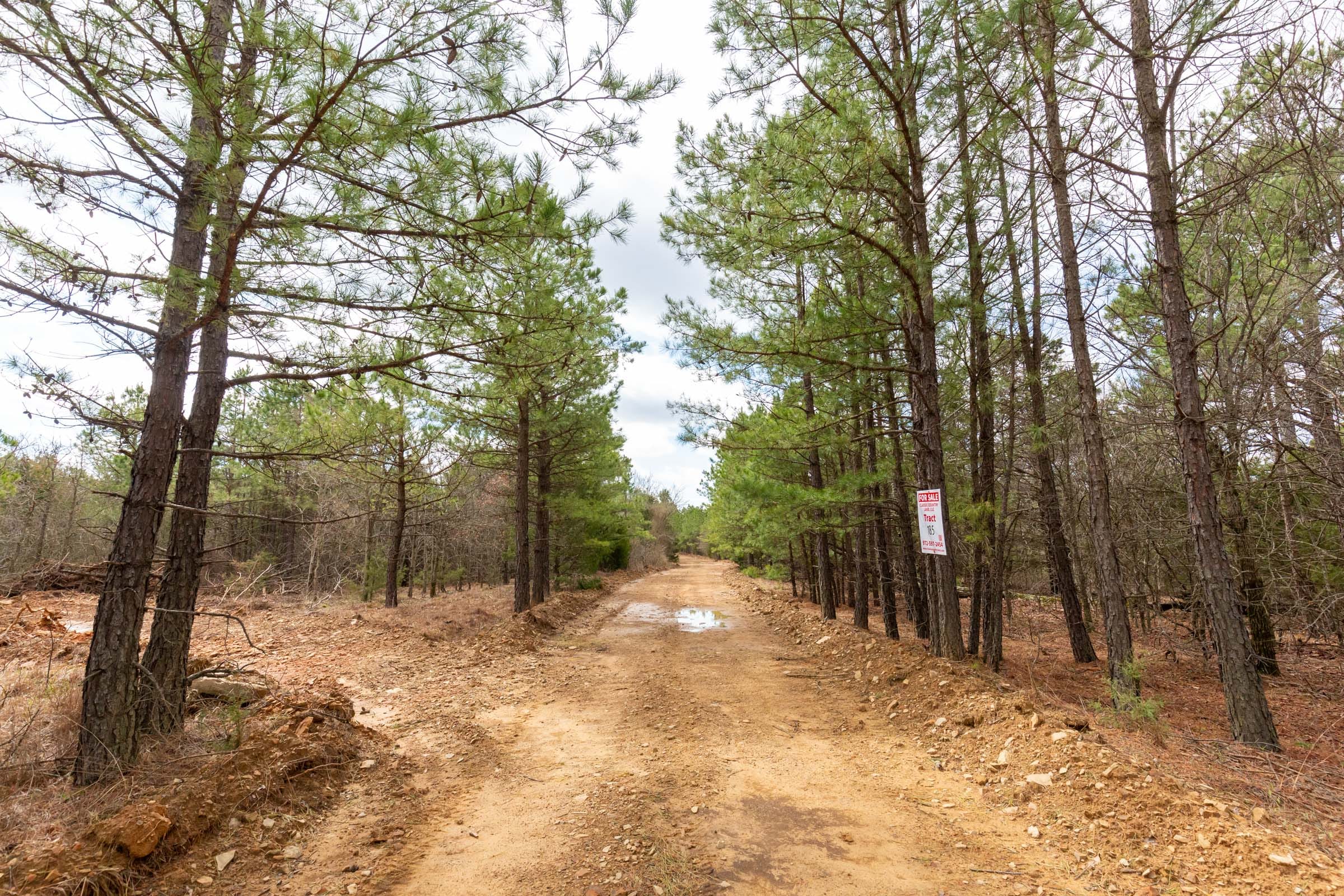 Stone Bridge Phase III Tract 183 photo 5