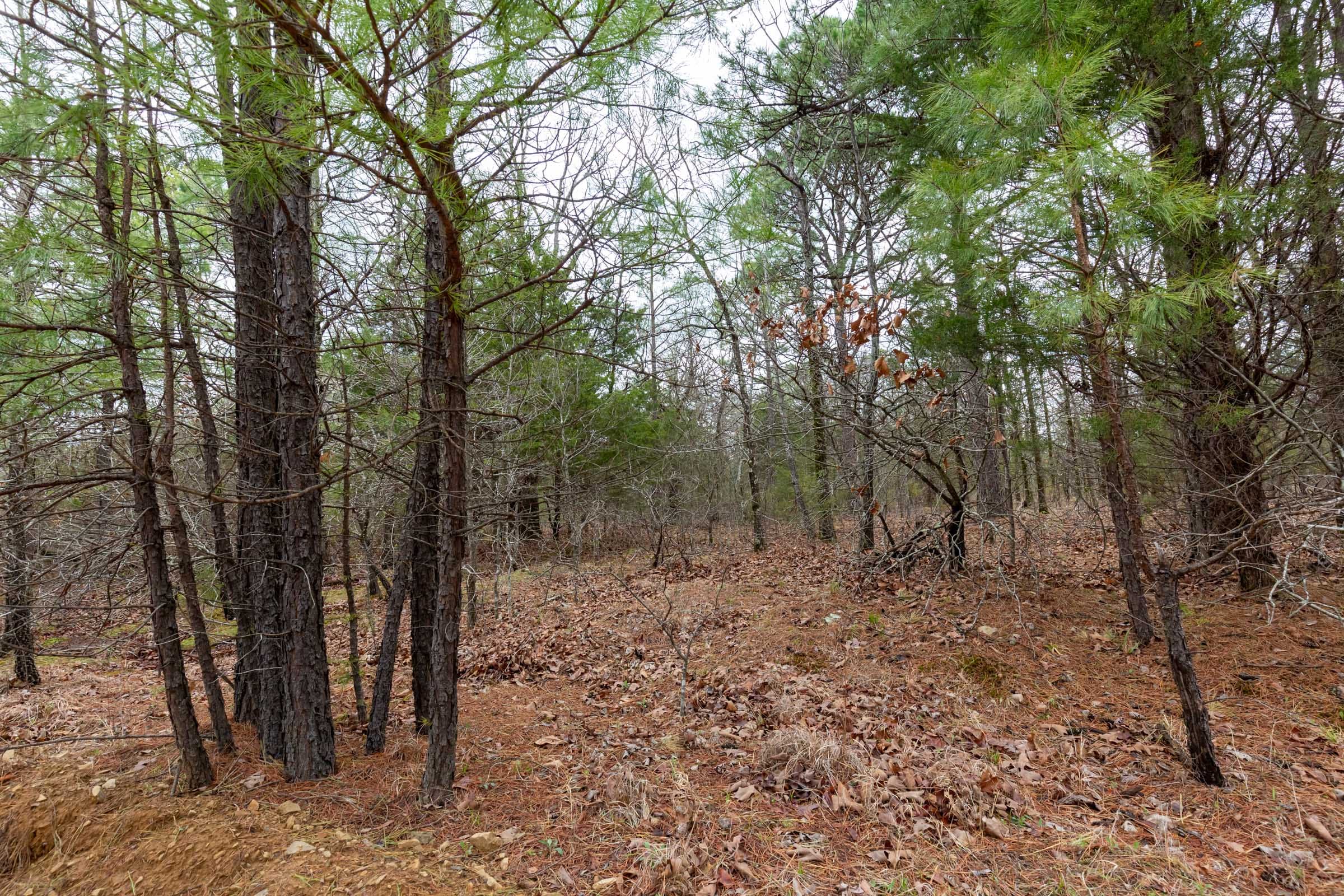 Stone Bridge Phase III Tract 183 photo 11