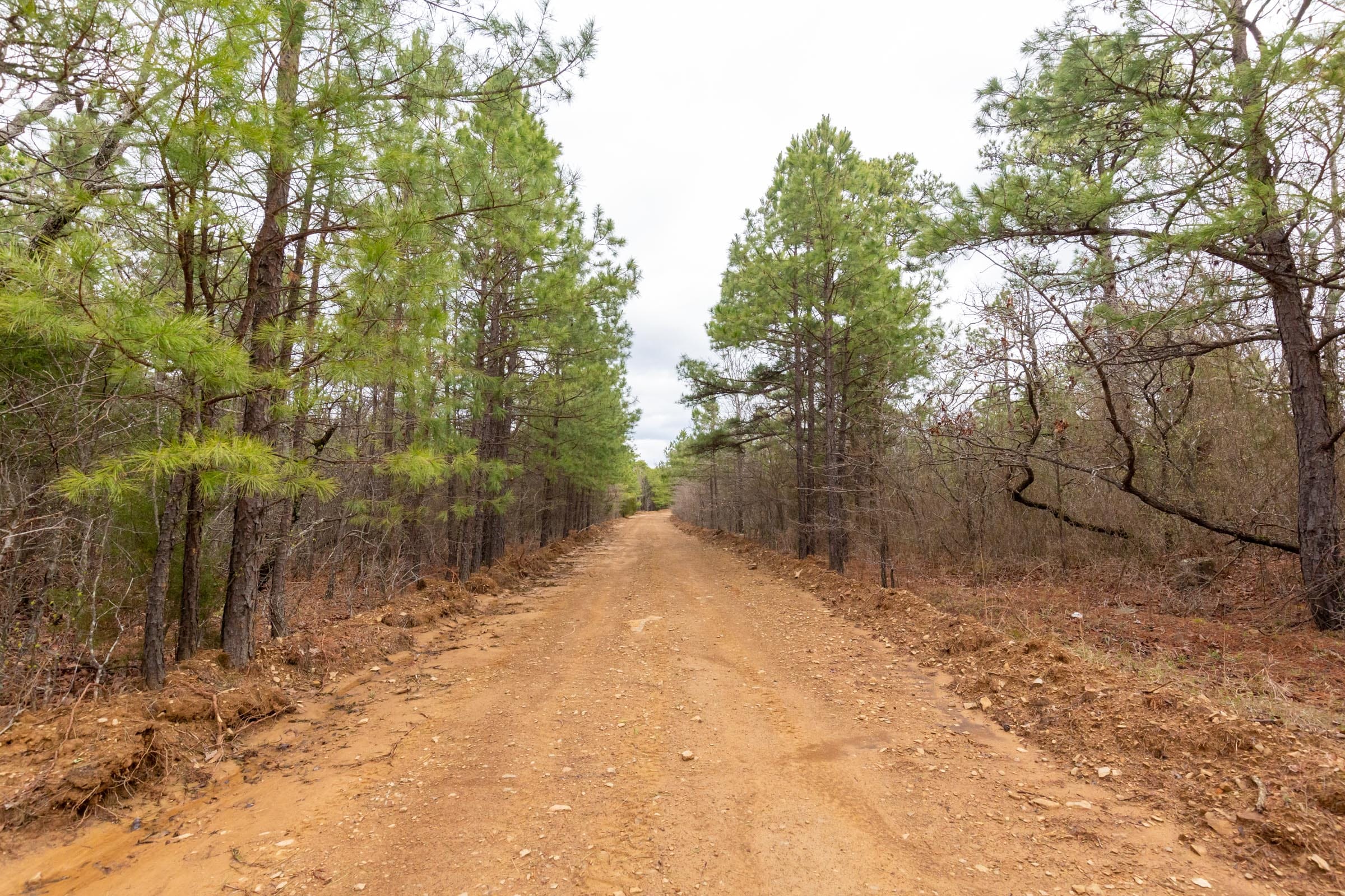 Stone Bridge Phase III Tract 183 photo 9