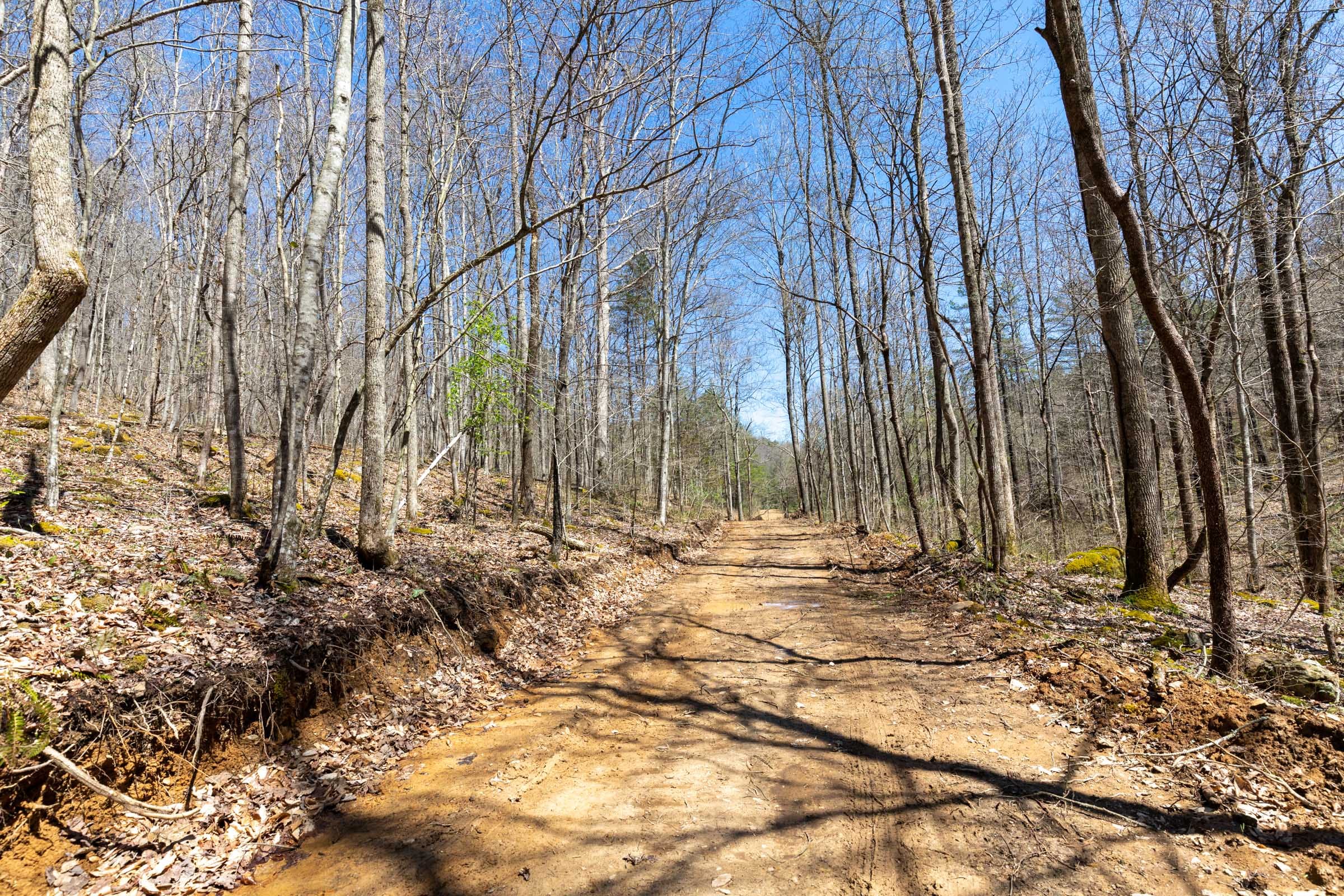 Woodland Heights Tract 9 photo 1