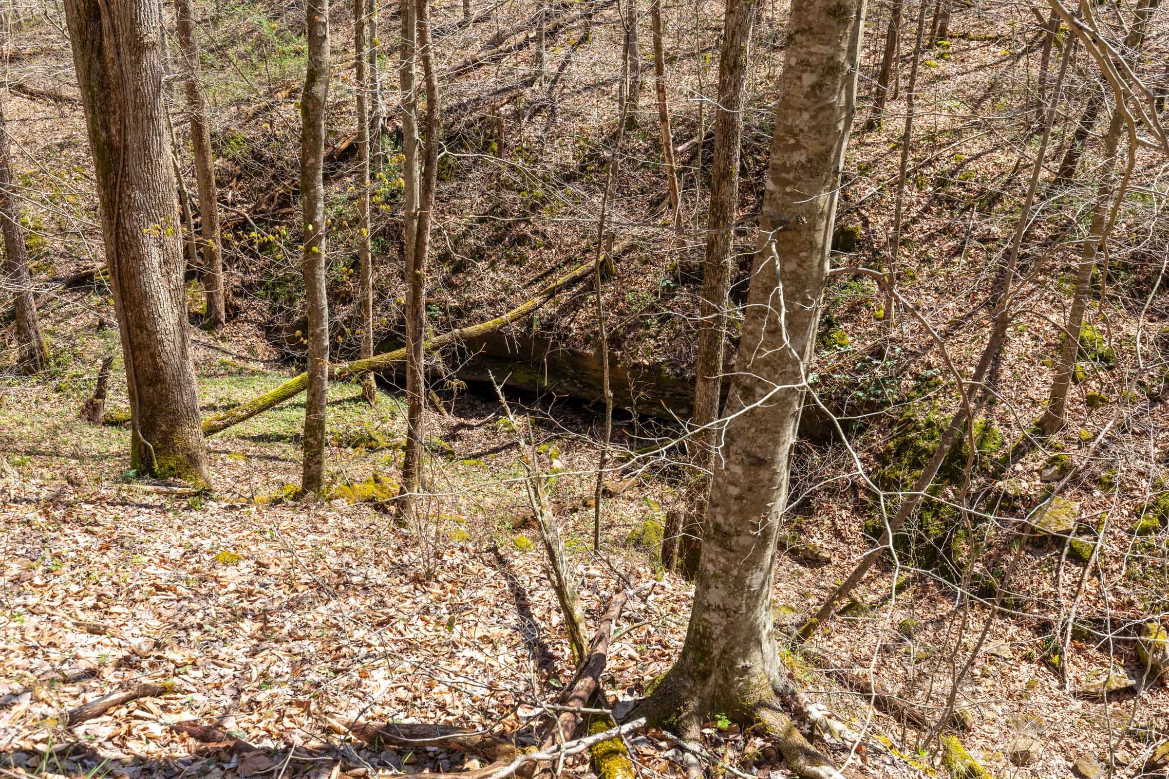 Woodland Heights Tract 9 photo 3