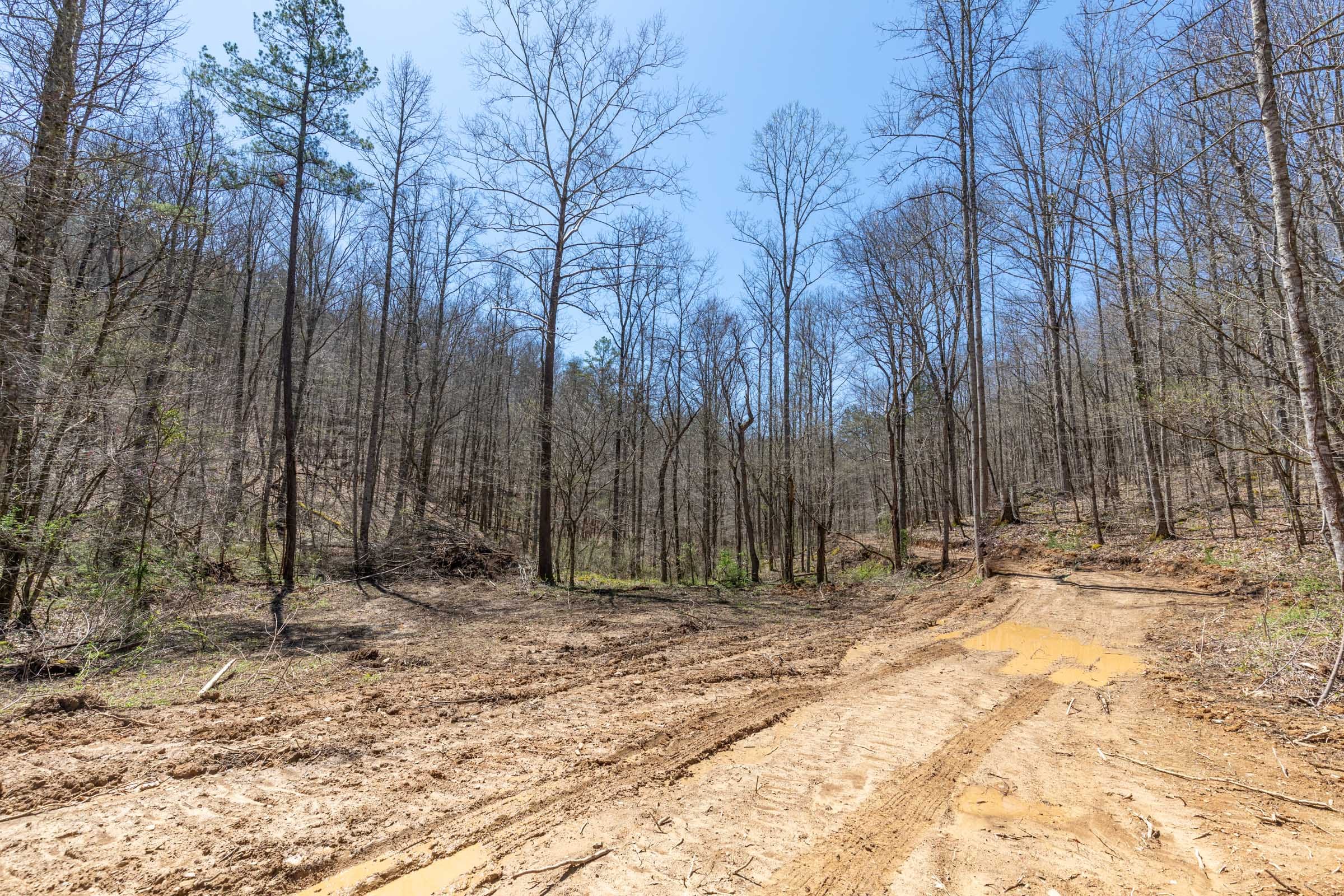 Woodland Heights Tract 9 photo 10