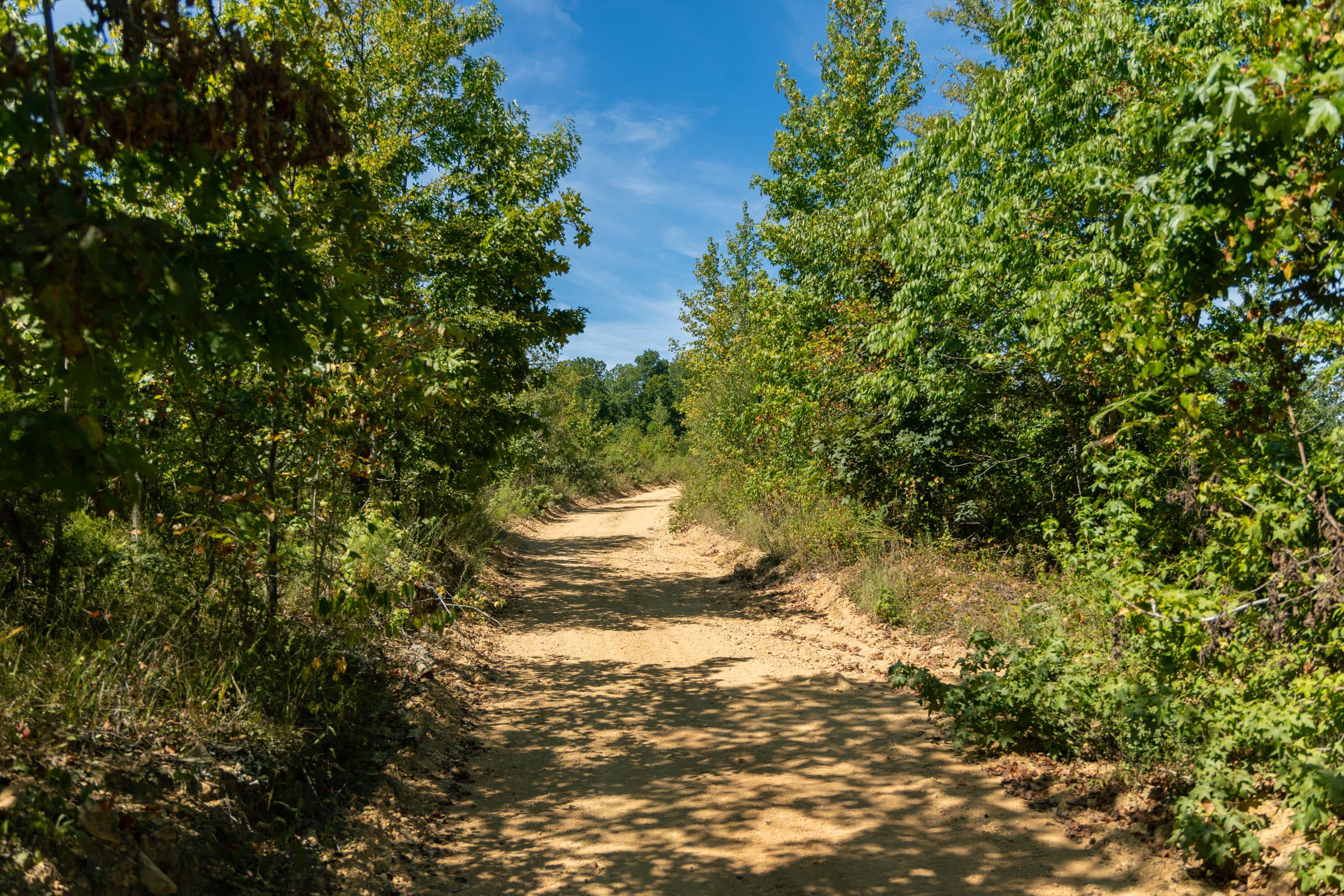 Big White Oak Tract 50 photo 1