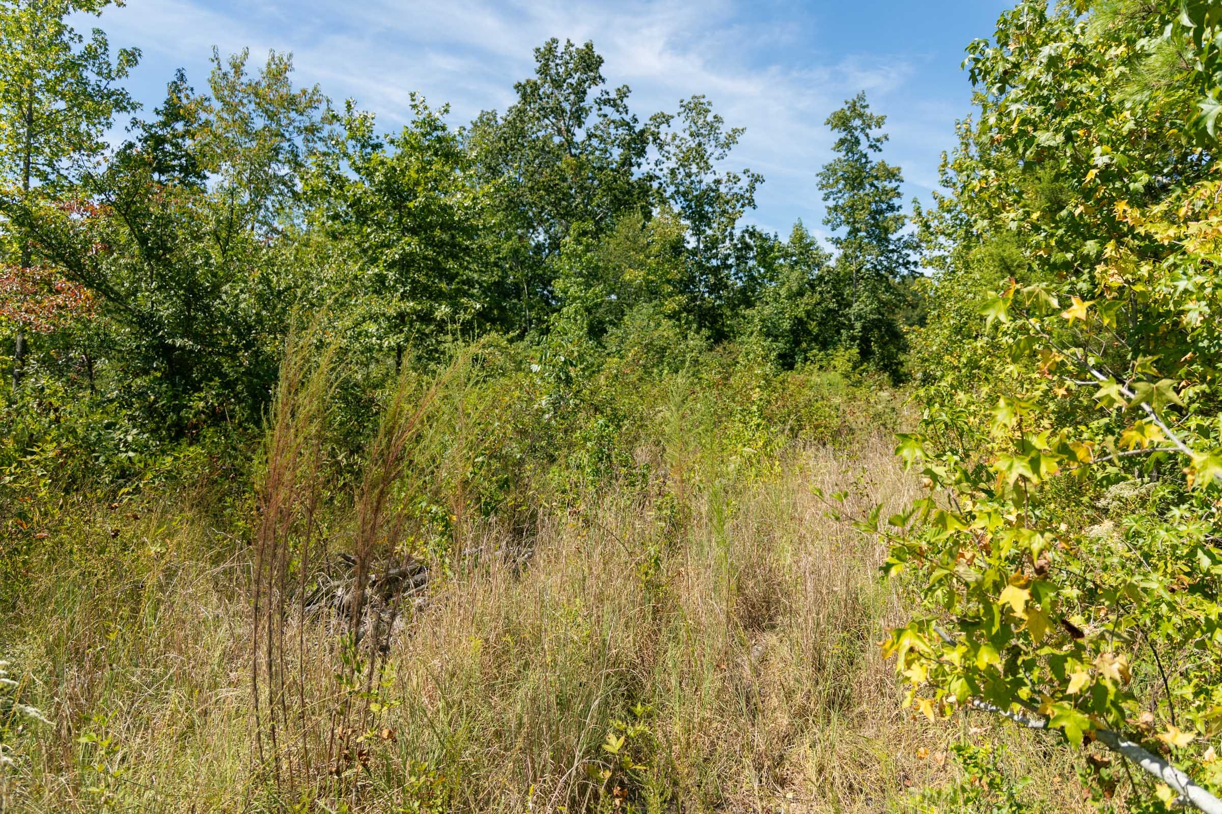 Big White Oak Tract 50 photo 5