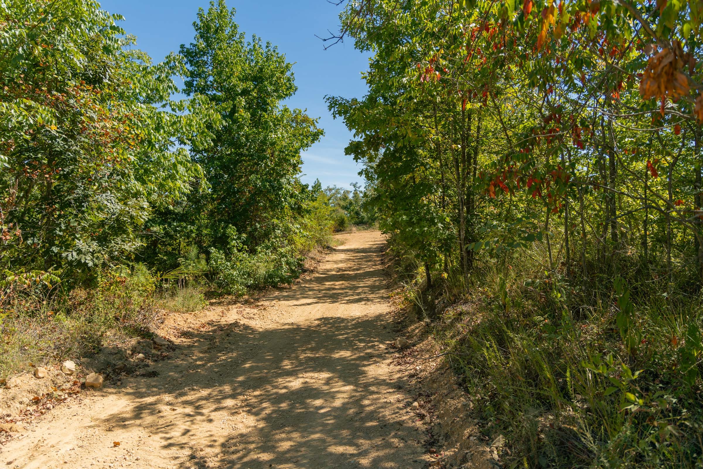 Big White Oak Tract 50 photo 3