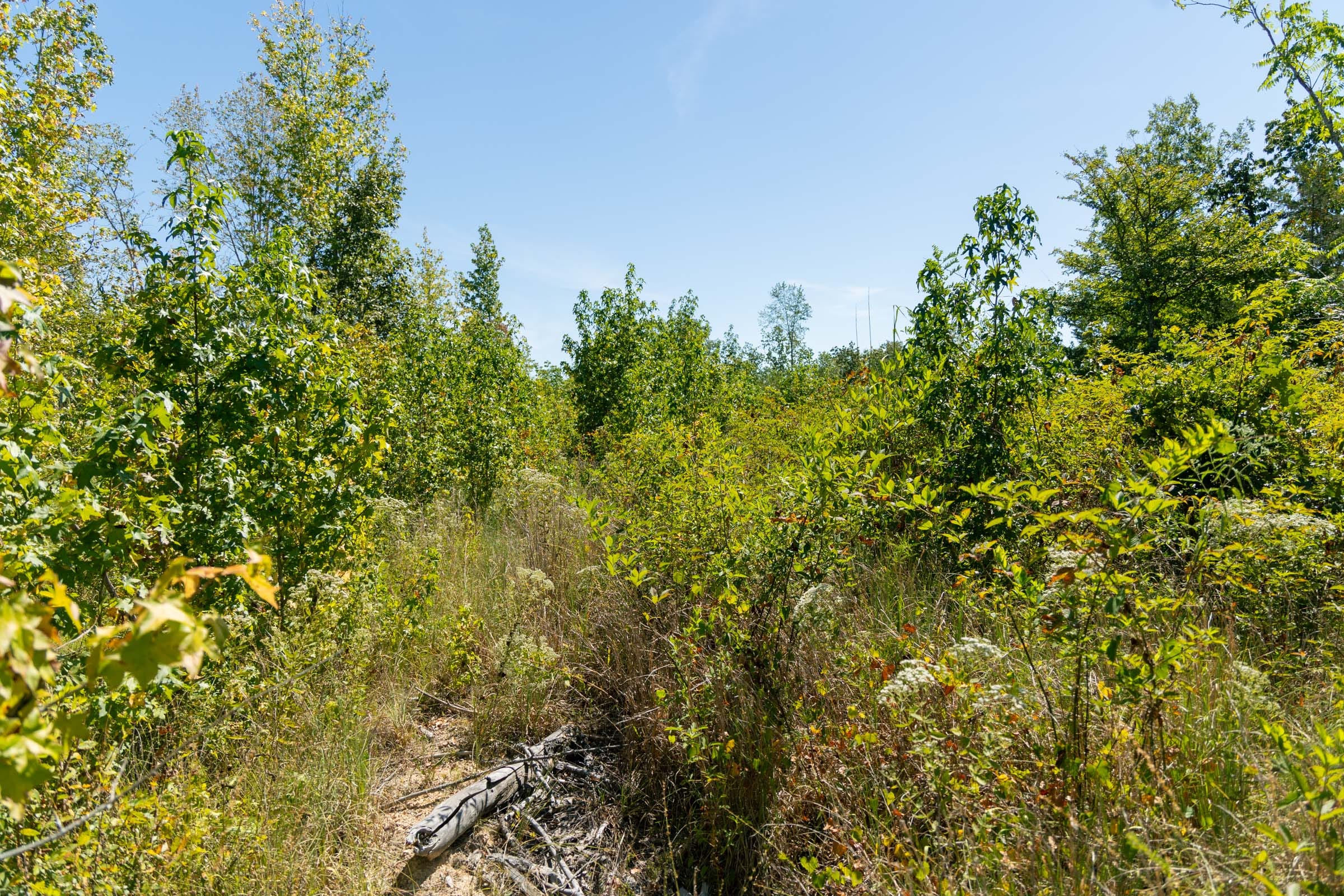 Big White Oak Tract 50 photo 10