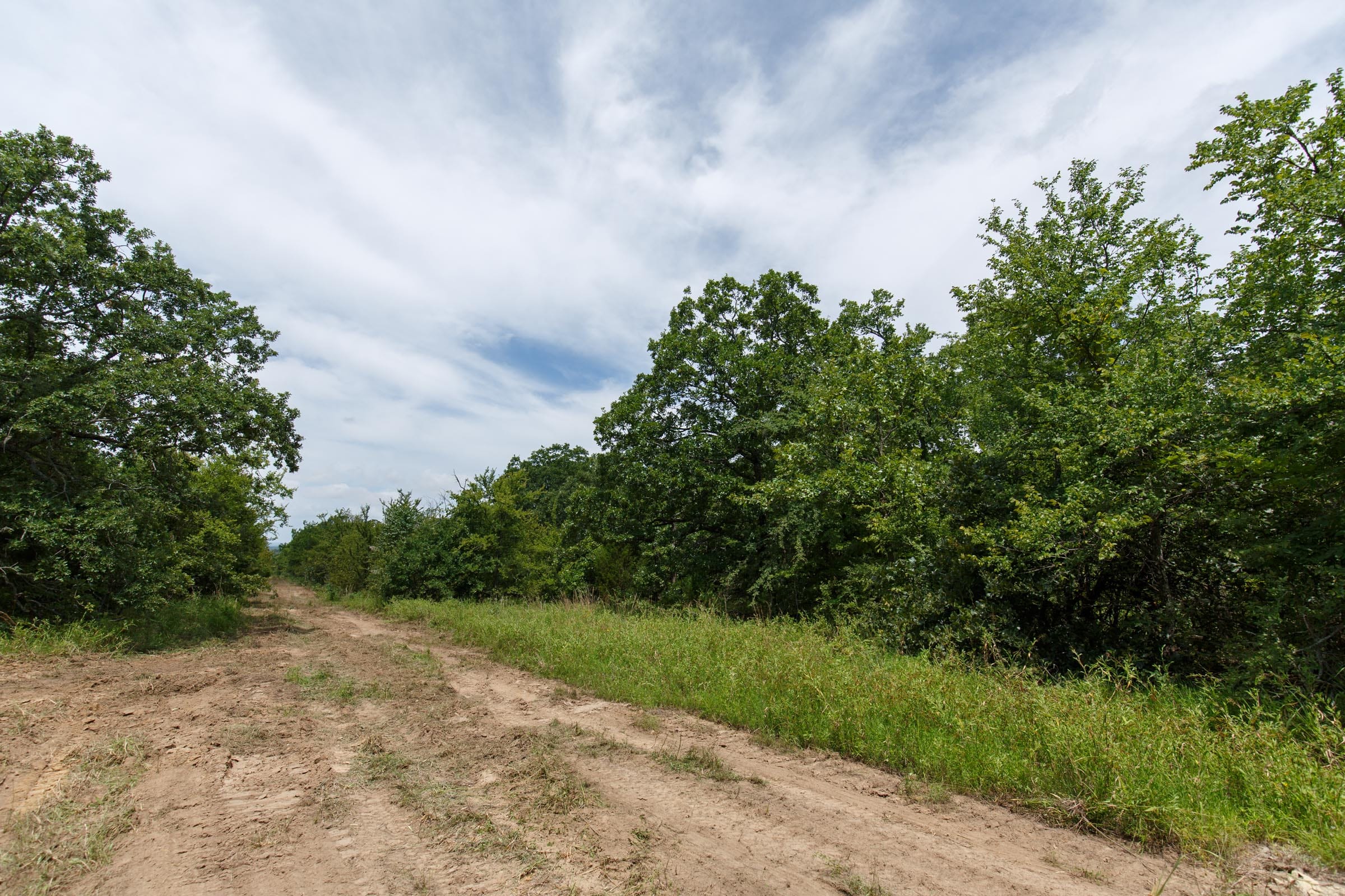 Timber Ridge Tract 30 photo 5