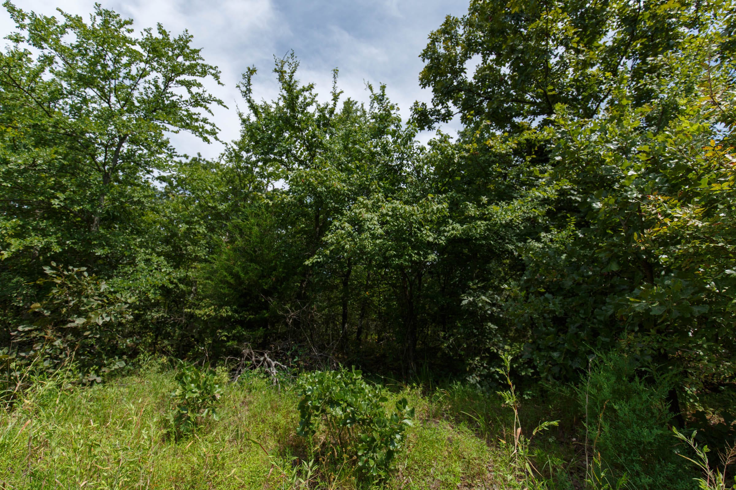 Timber Ridge Tract 30 photo 3