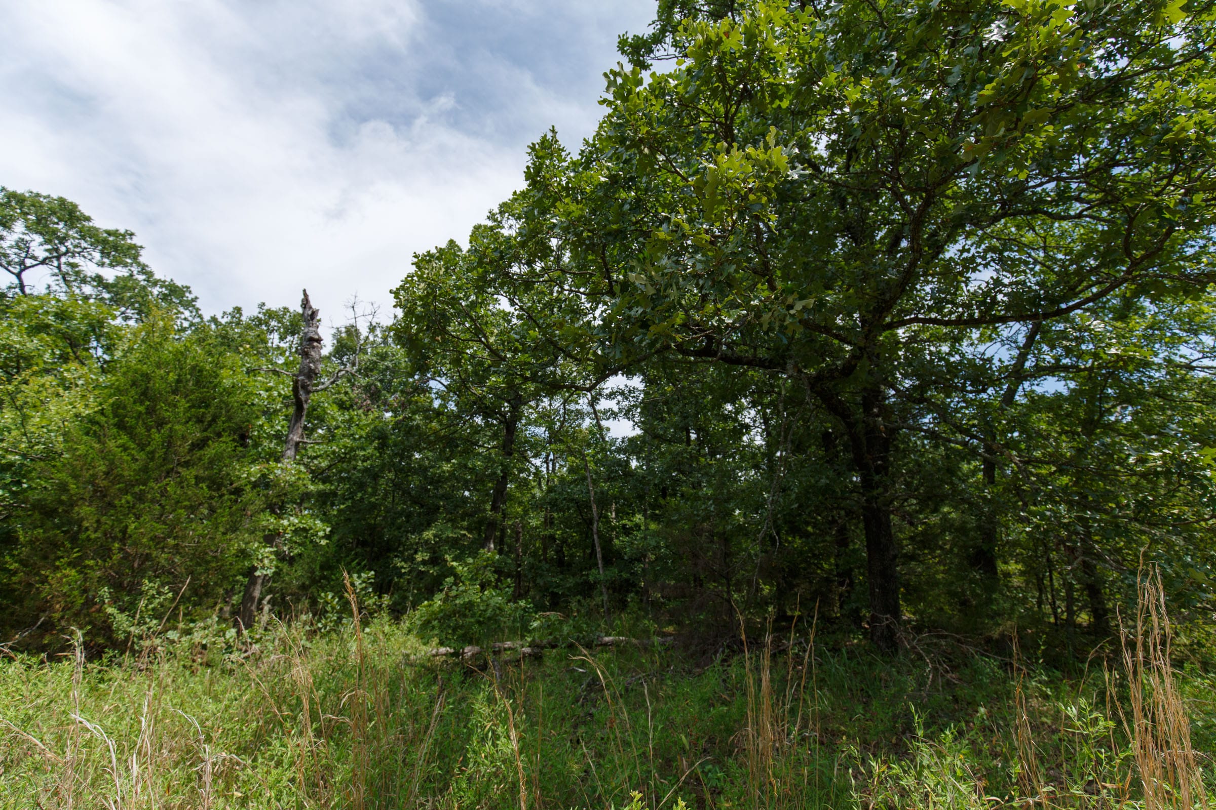 Timber Ridge Tract 30 photo 4