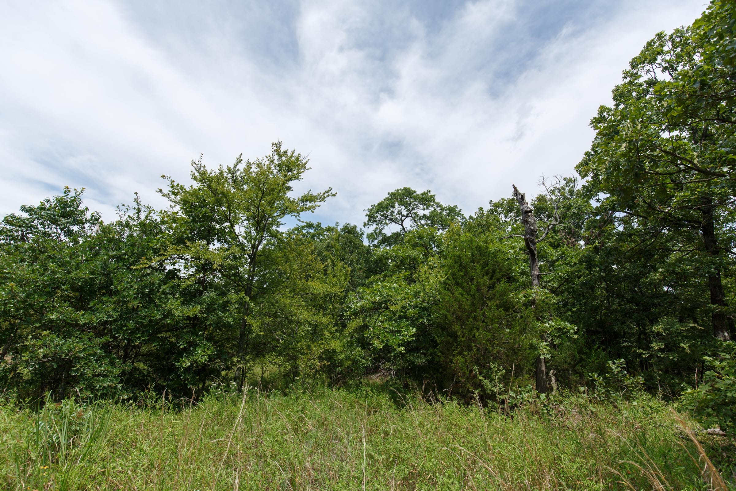 Timber Ridge Tract 30 photo 1