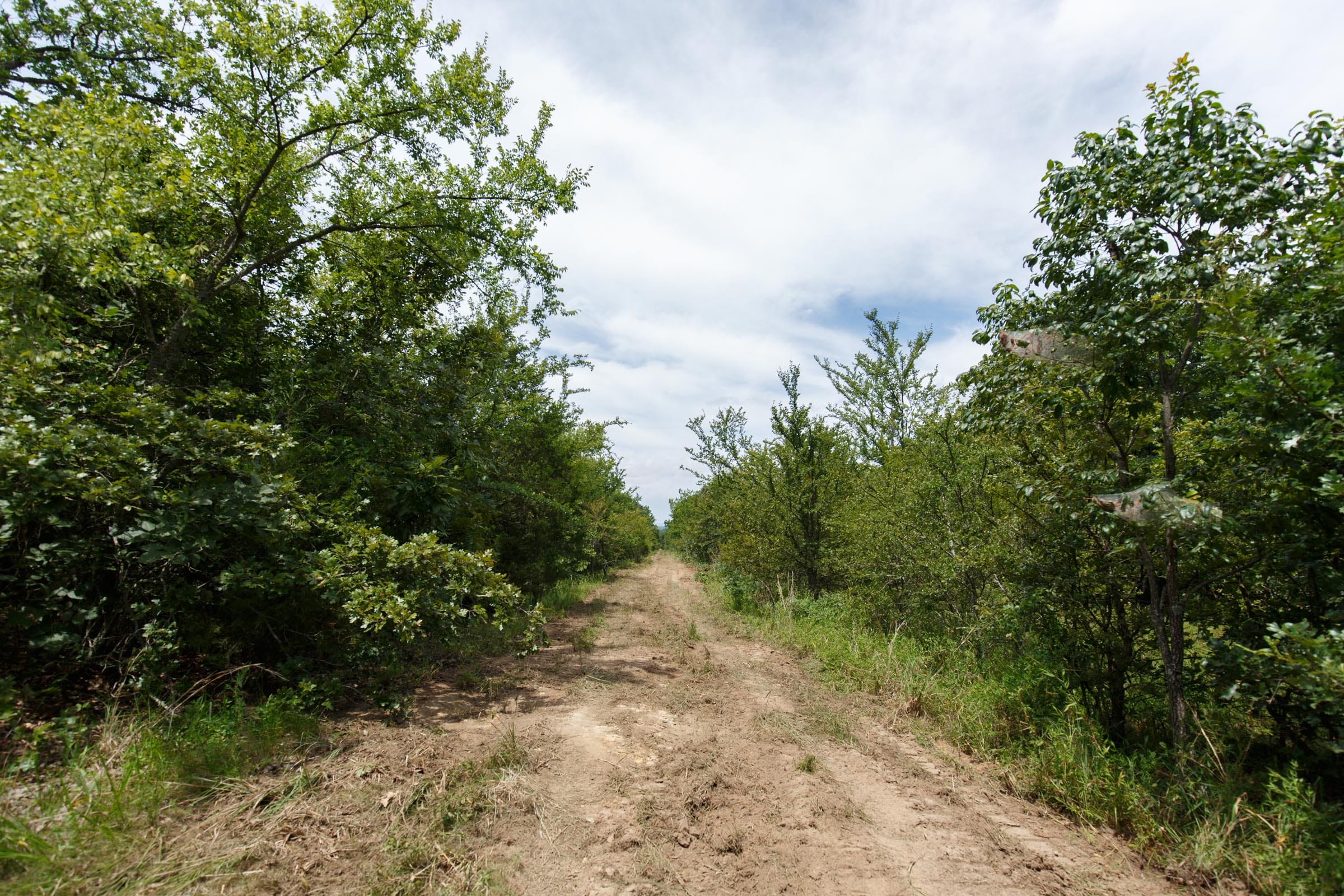 Timber Ridge Tract 30 photo 2