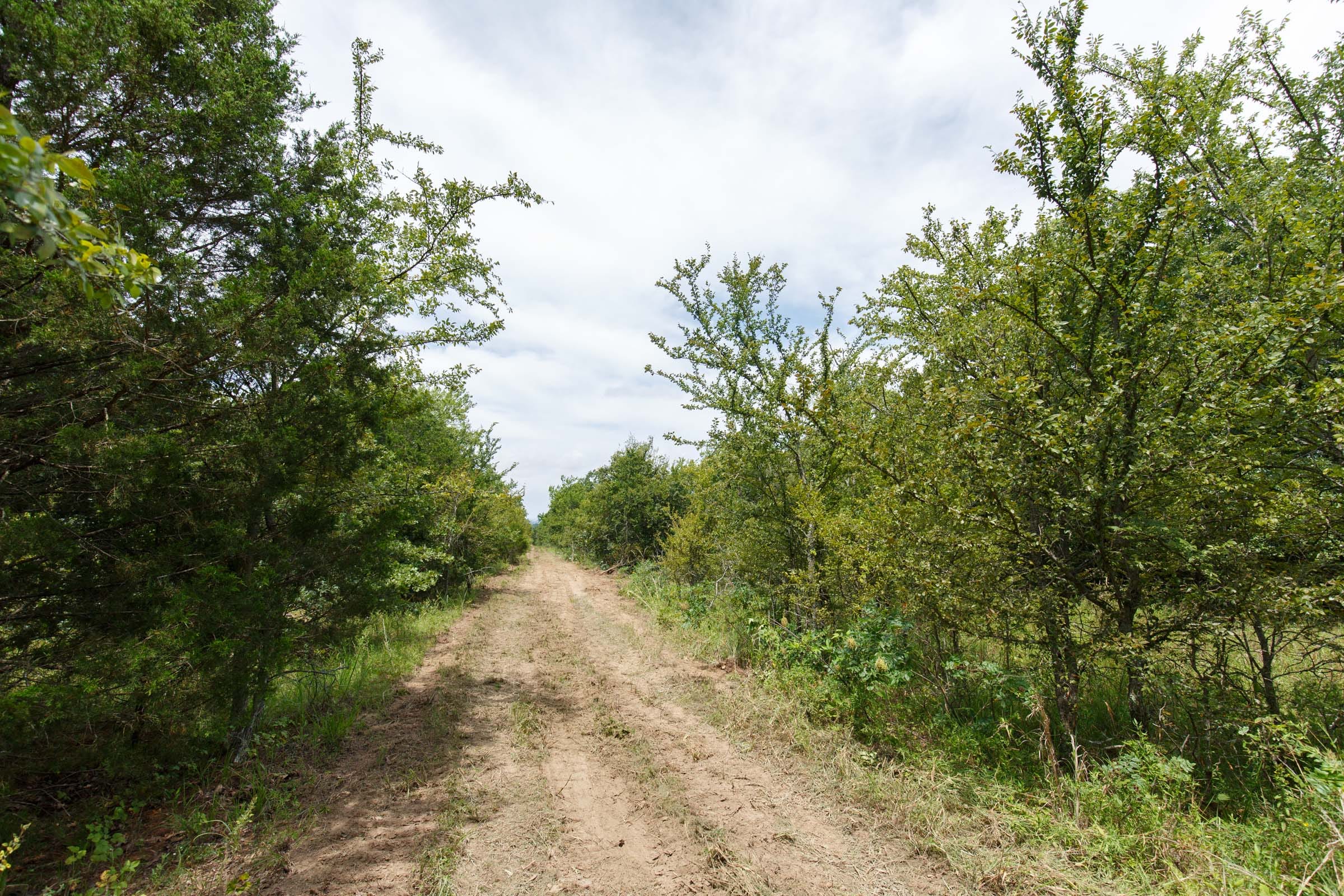 Timber Ridge Tract 30 photo 8