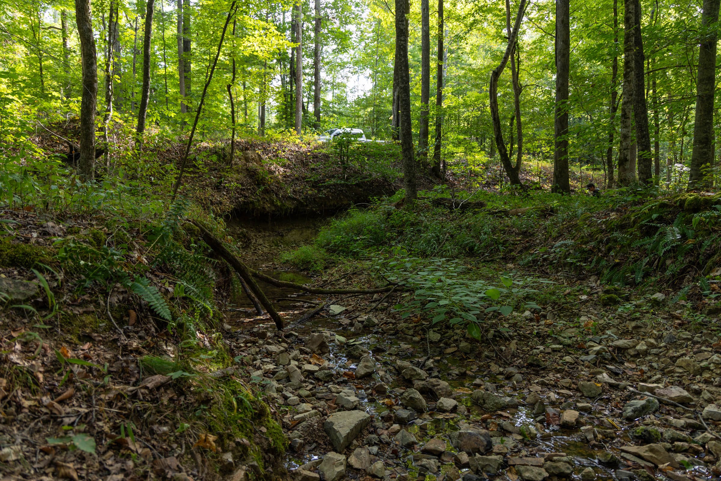 Big White Oak Tract 97 photo 8