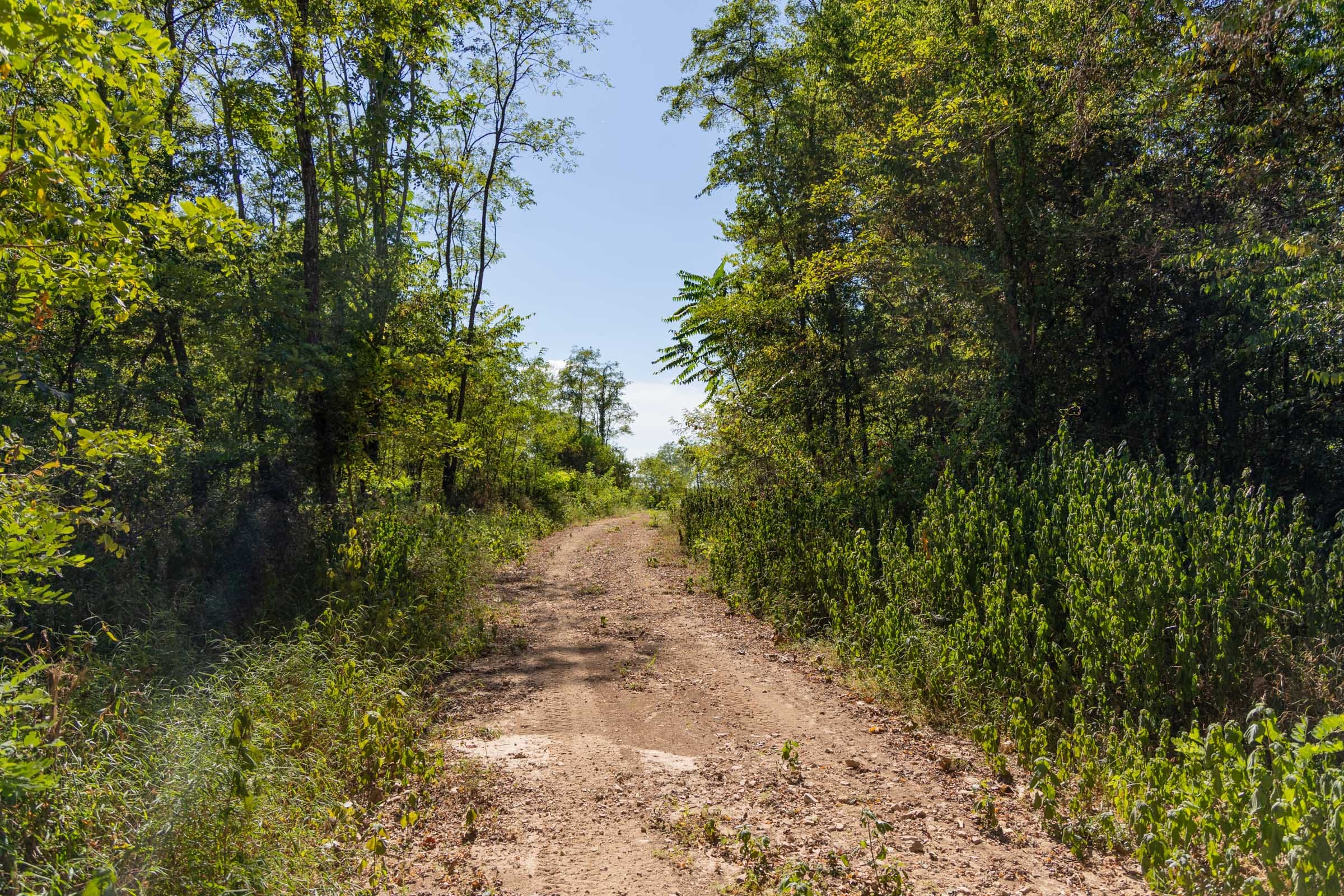 Big White Oak Tract 97 photo 2