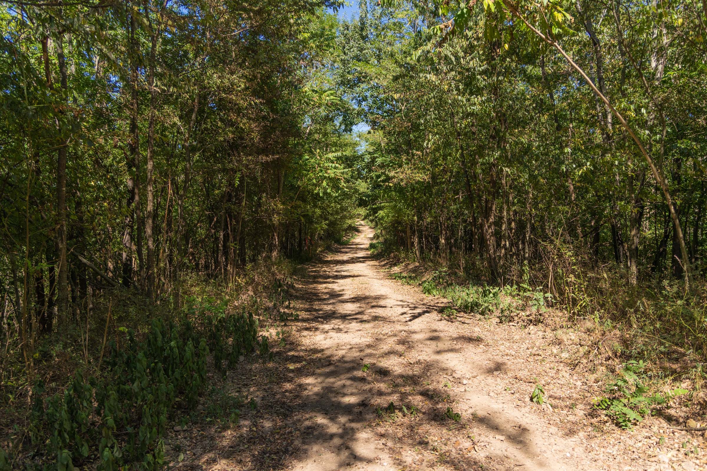 Big White Oak Tract 97 photo 18