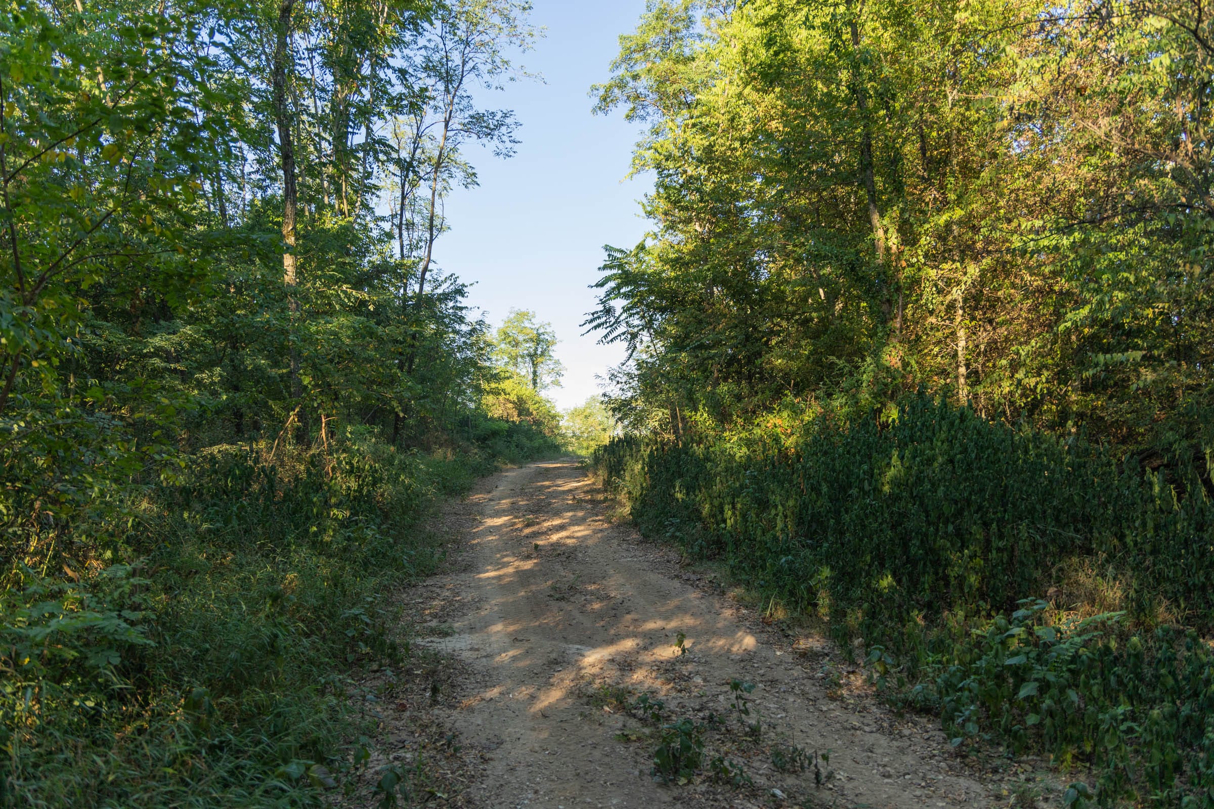 Big White Oak Tract 97 photo 12
