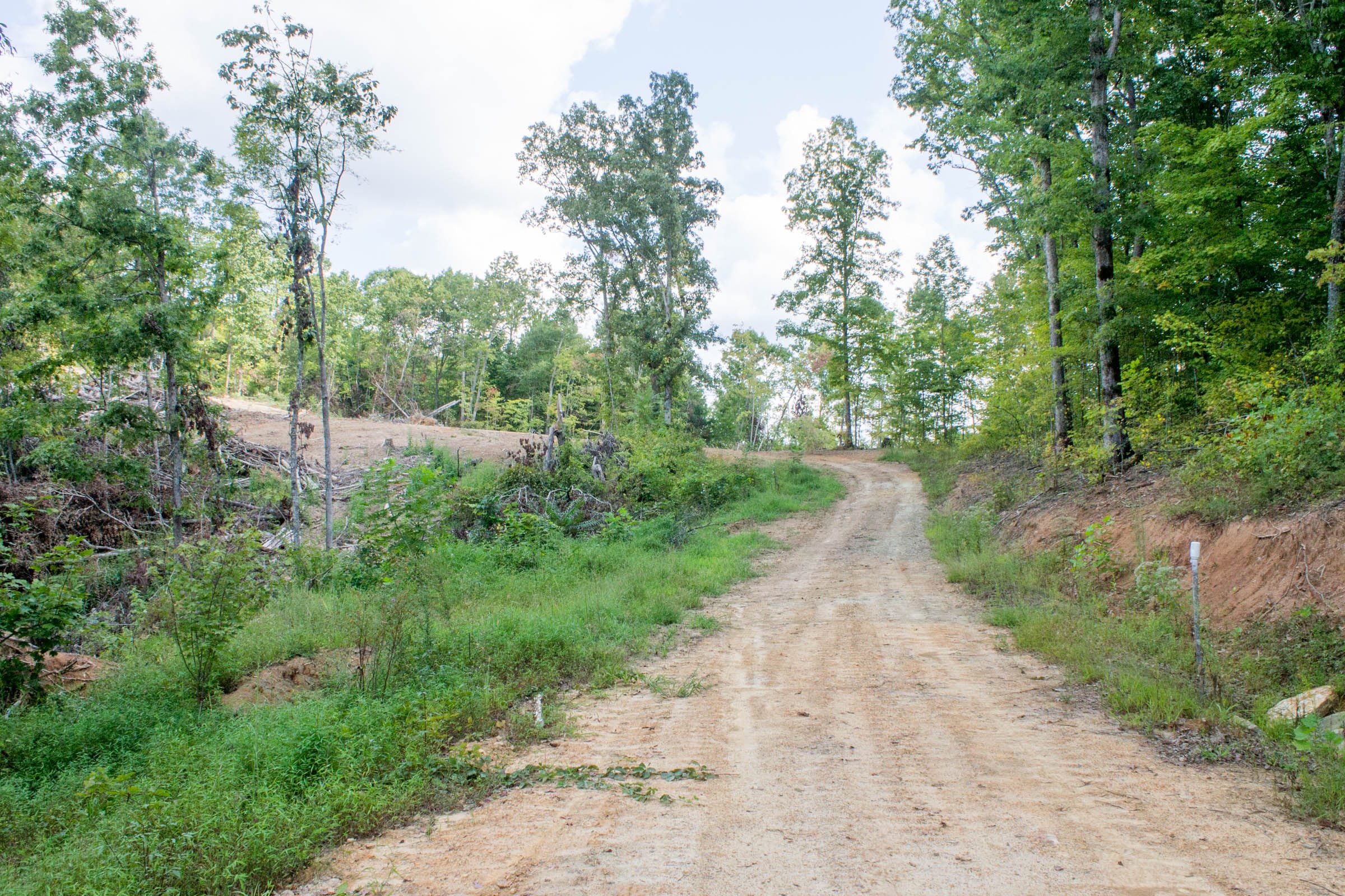 Buck Run Ridge Tract 23 photo 1