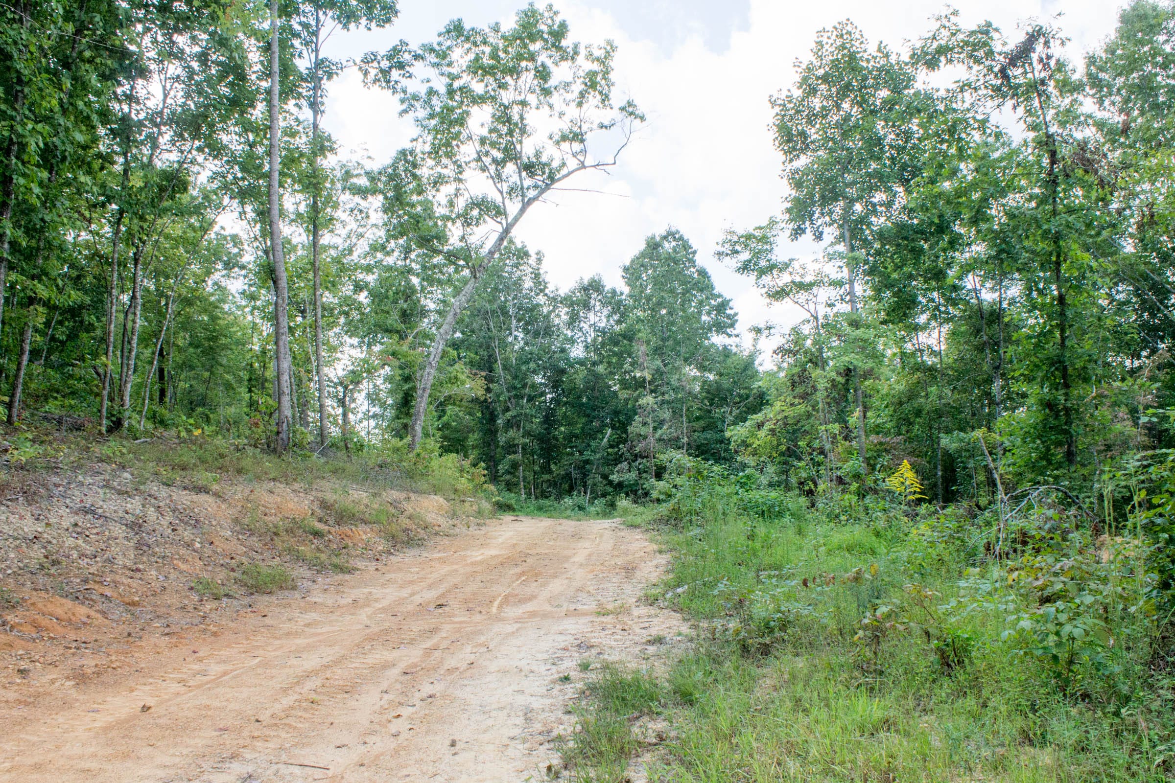 Buck Run Ridge Tract 23 photo 2