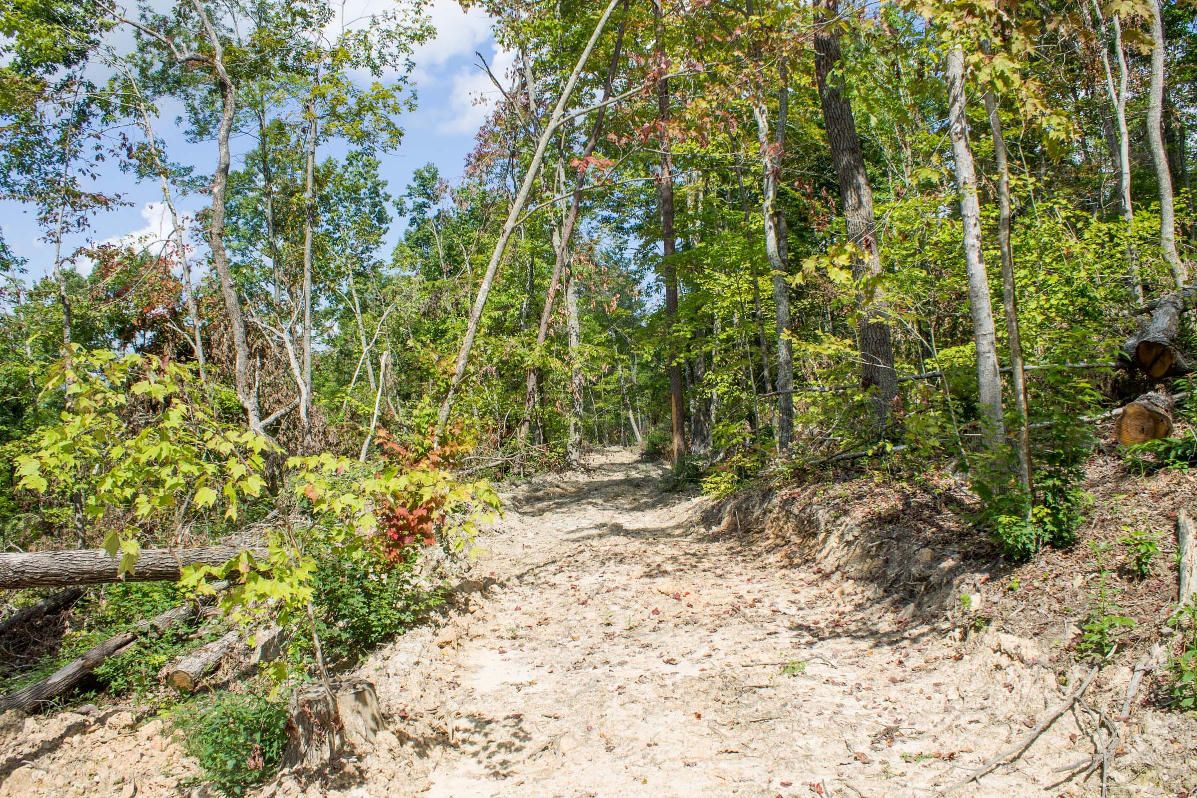 Buck Run Ridge Tract 23 photo 8