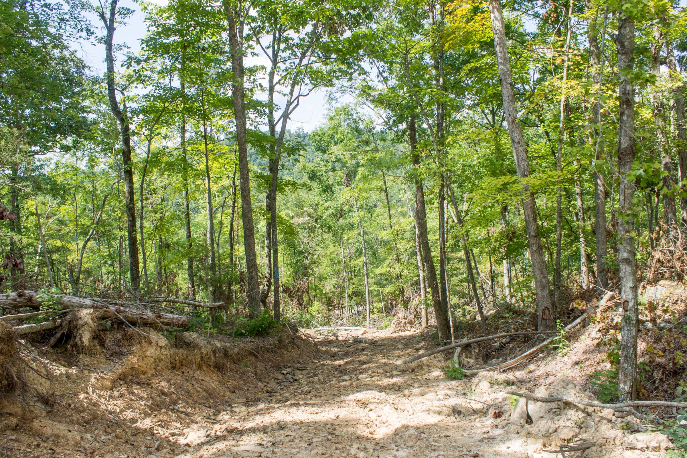 Buck Run Ridge Tract 23 photo 9