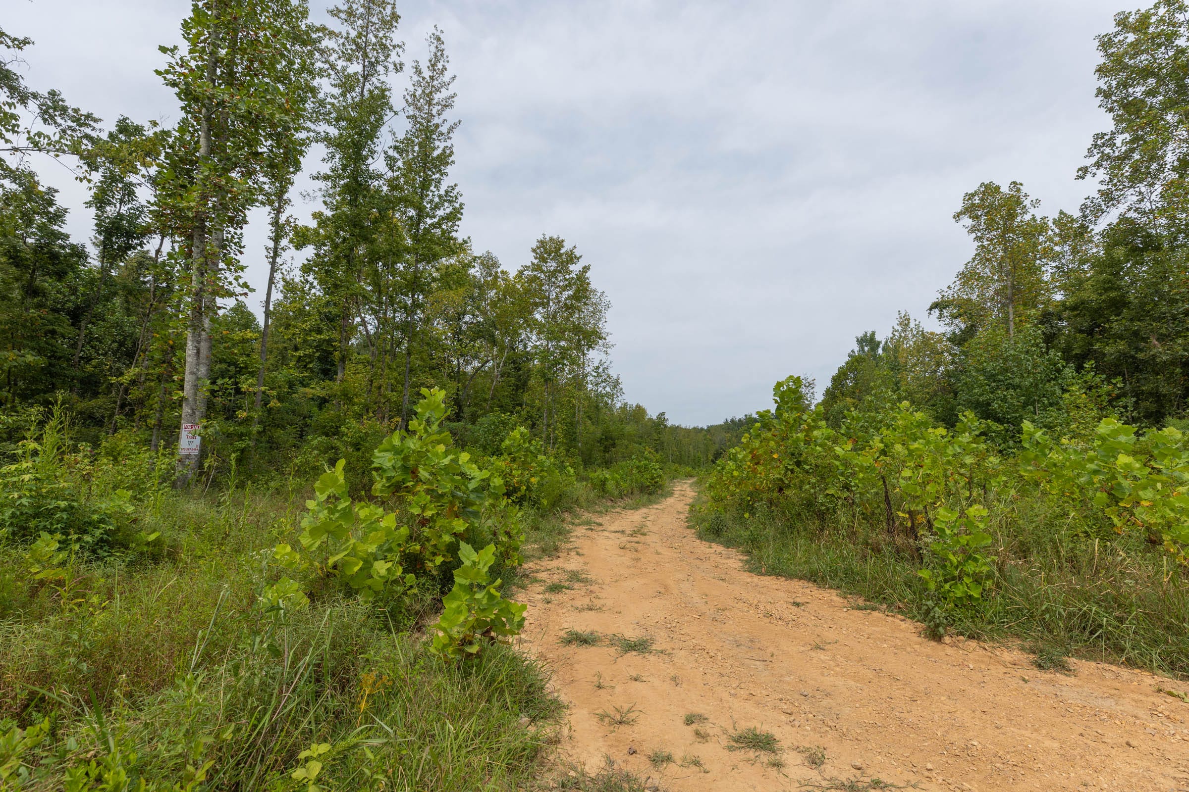 Big White Oak Tract 127 photo 1
