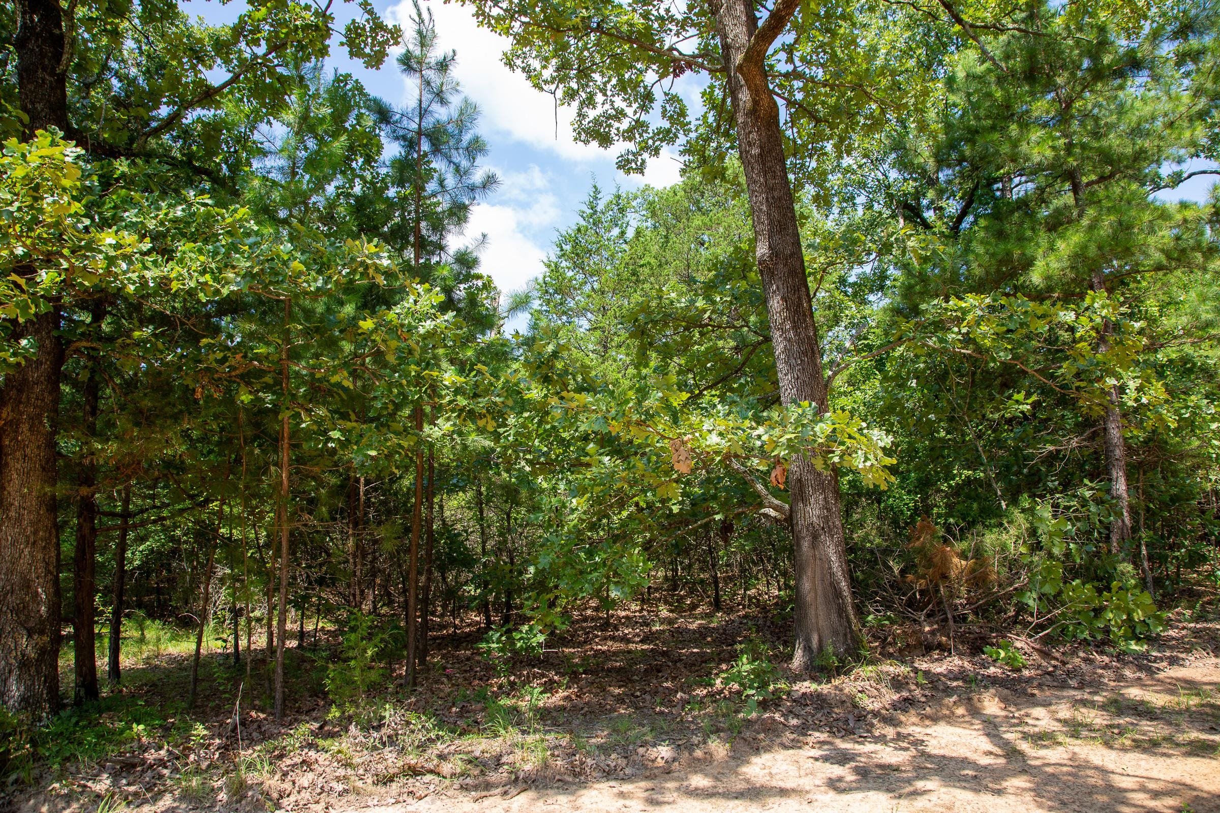 Tyler Stone Ranch Tract 57 photo 3