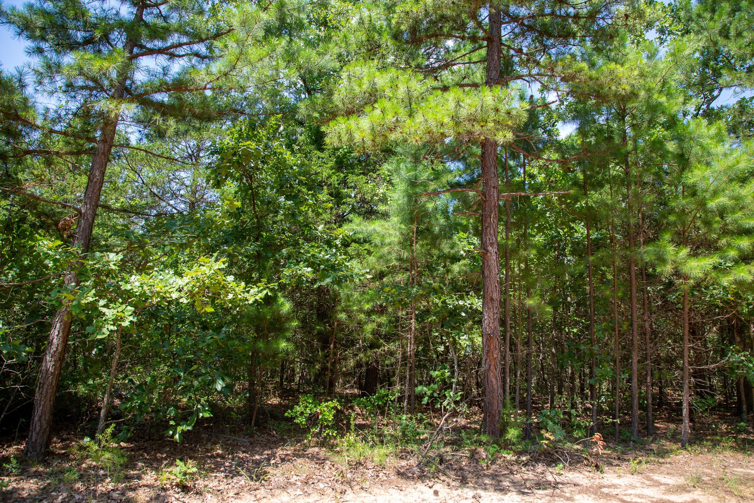 Tyler Stone Ranch Tract 57 photo 4