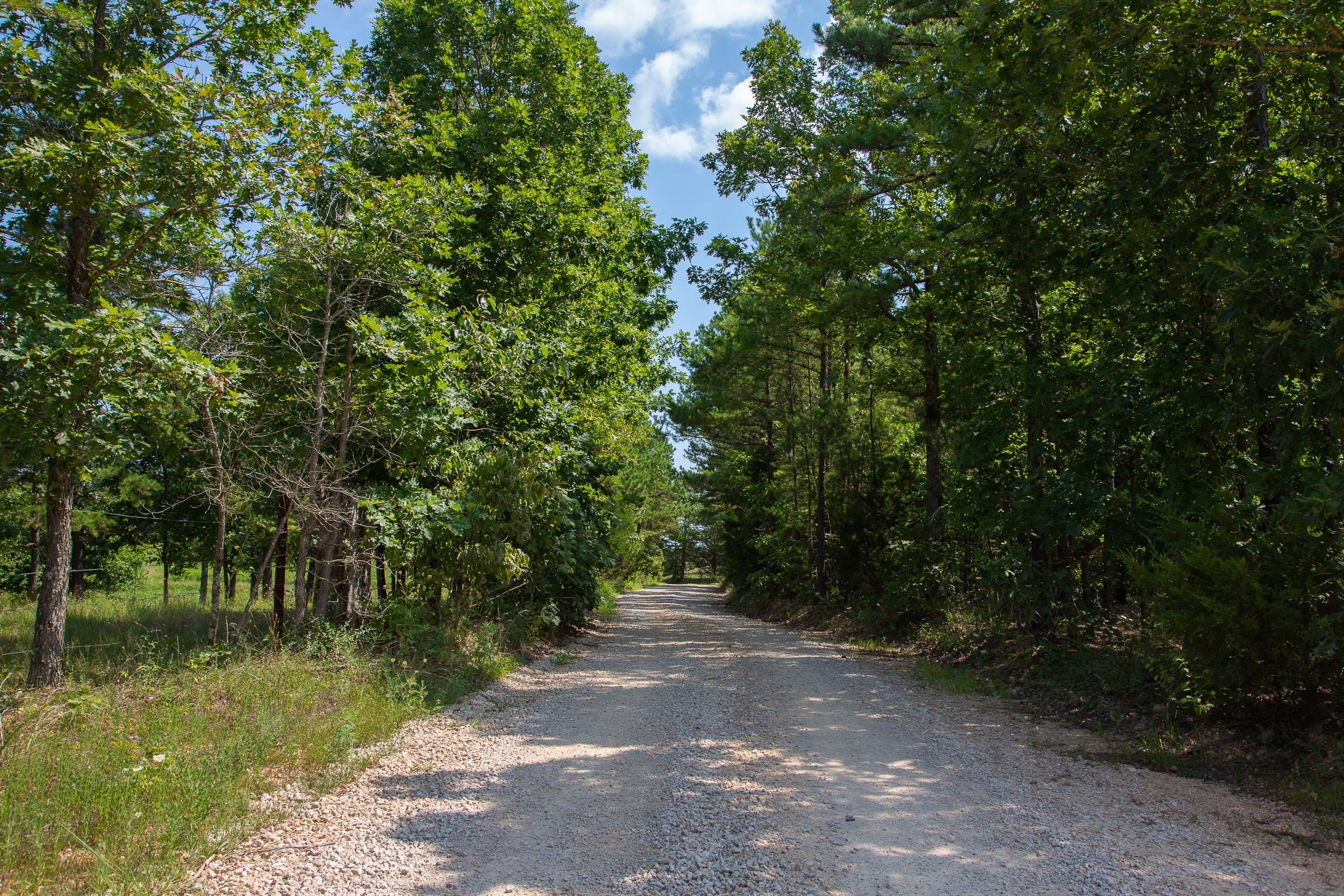 Borgmann’s Hollow Phase I Tract 1 photo 1