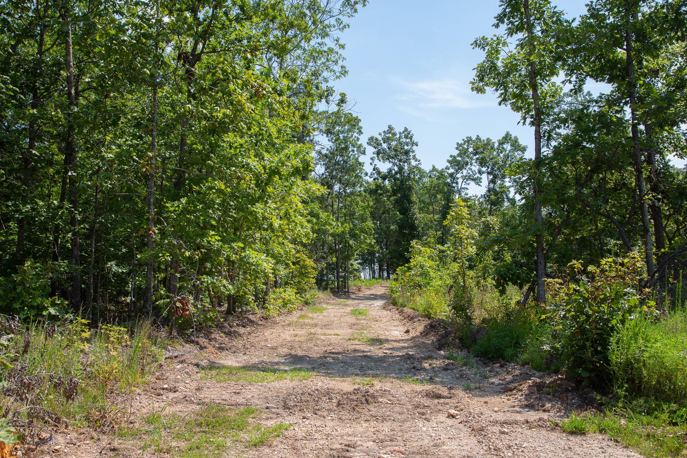 Borgmann’s Hollow Phase I Tract 1 photo 4