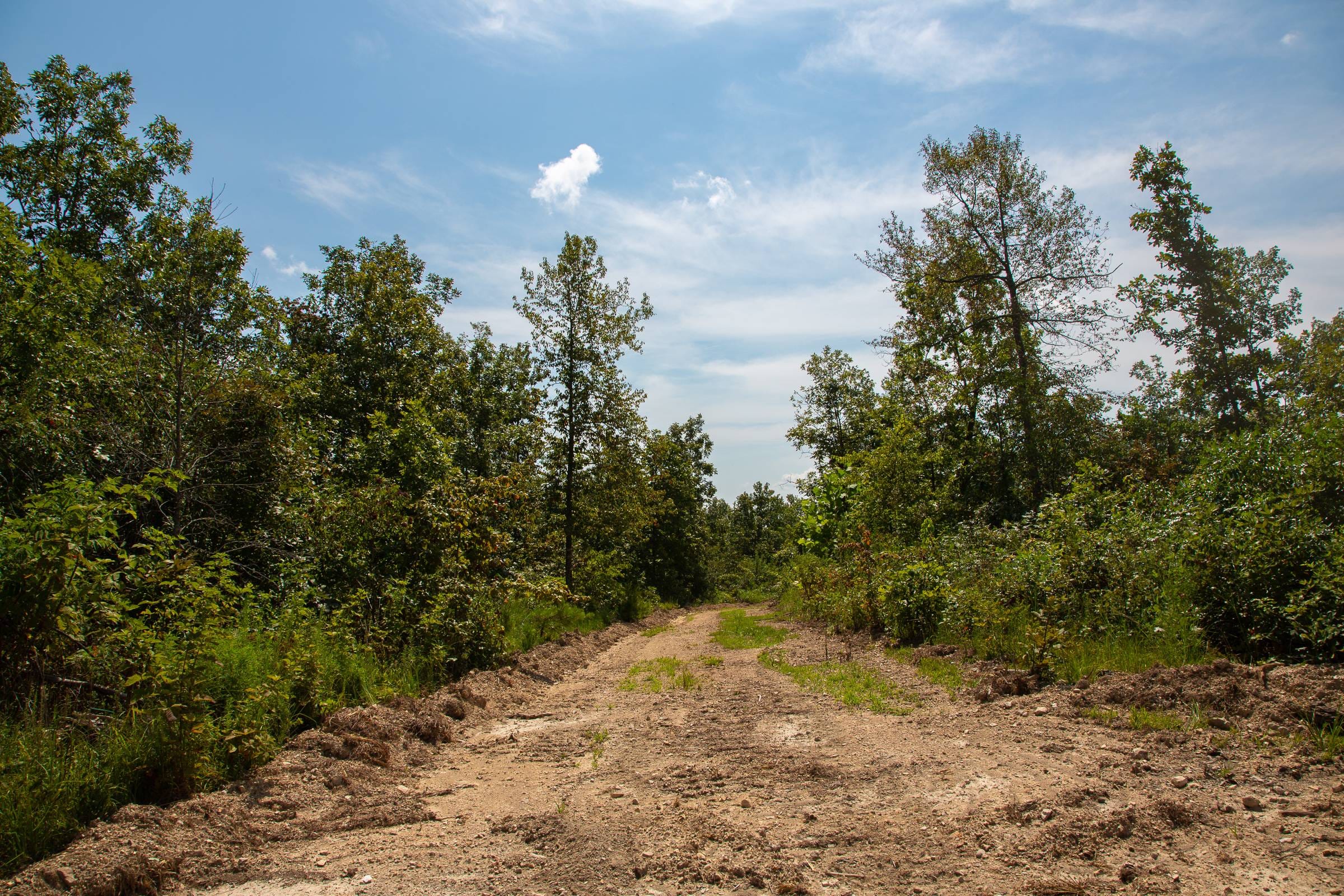 Borgmann’s Hollow Phase I Tract 1 photo 7