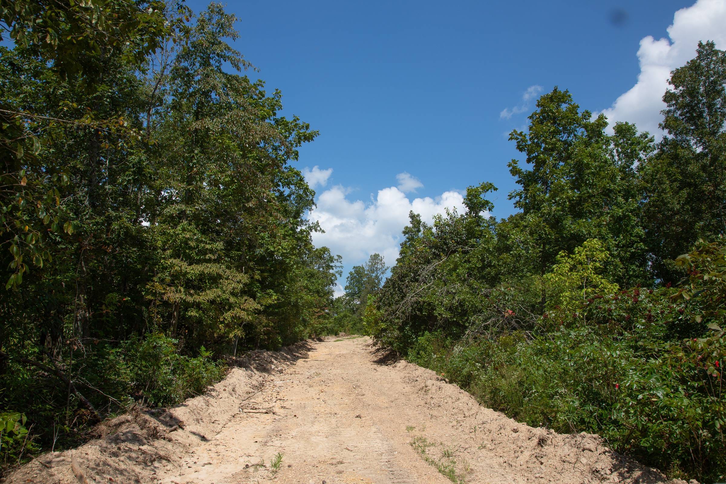 Borgmann’s Hollow Phase I Tract 1 photo 10