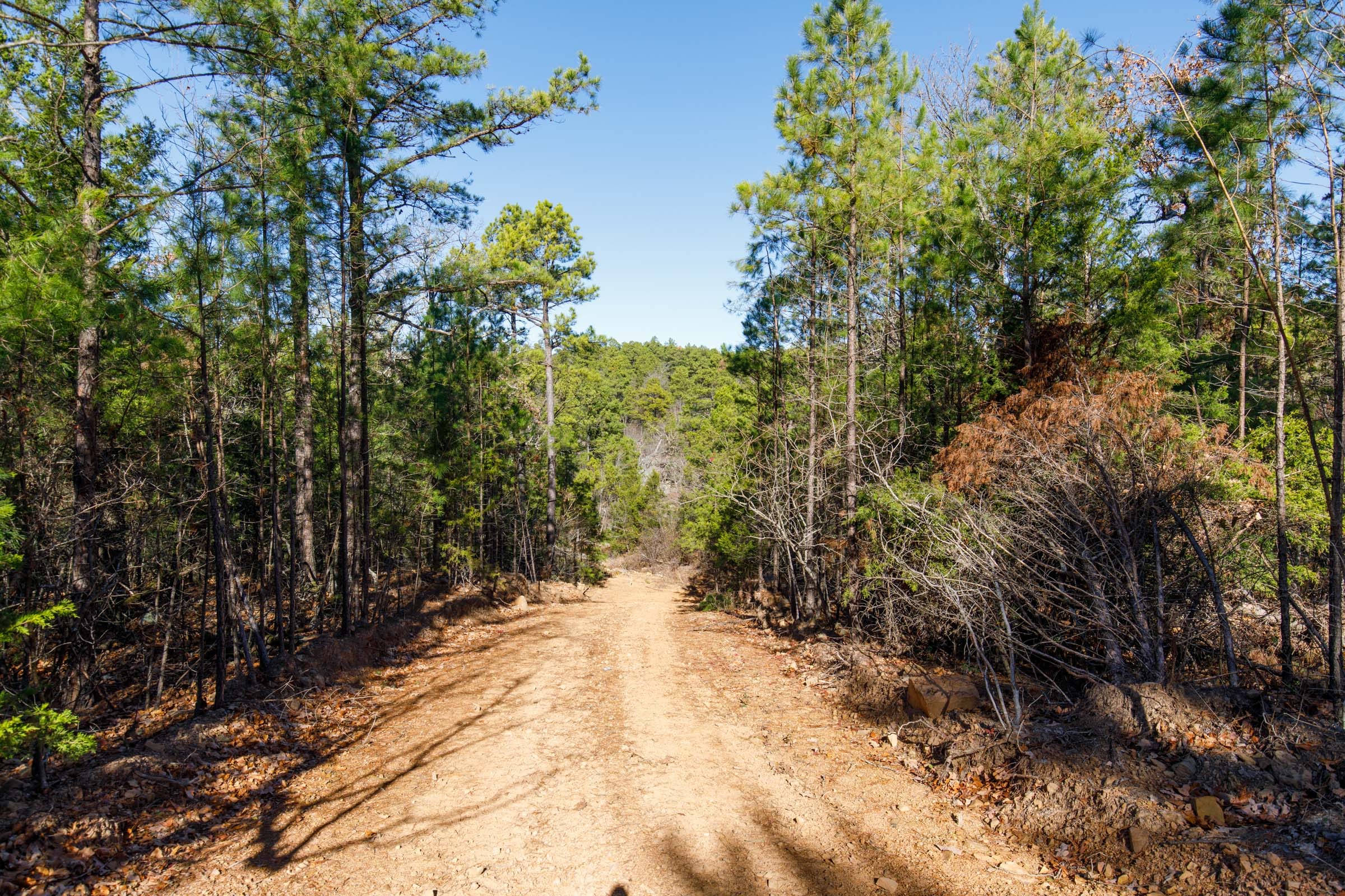 Stone Bridge Phase II Tract 123 photo 8