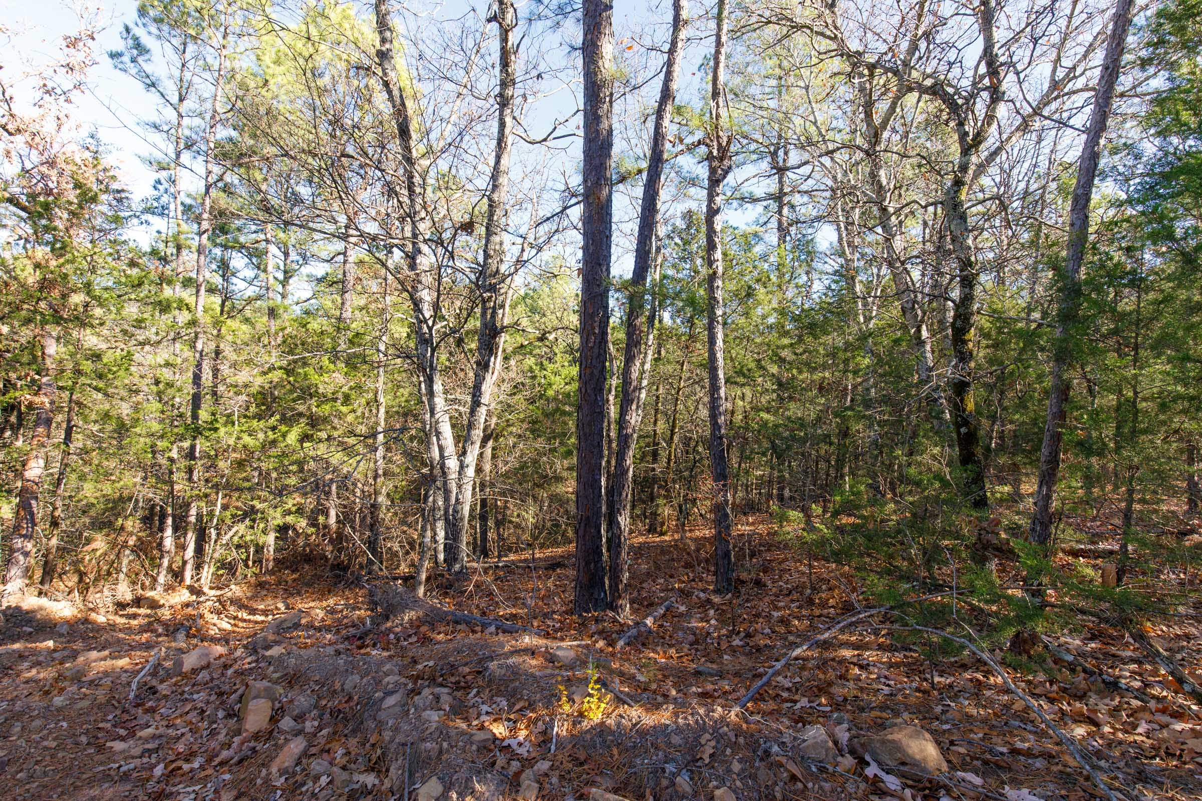 Stone Bridge Phase II Tract 123 photo 3