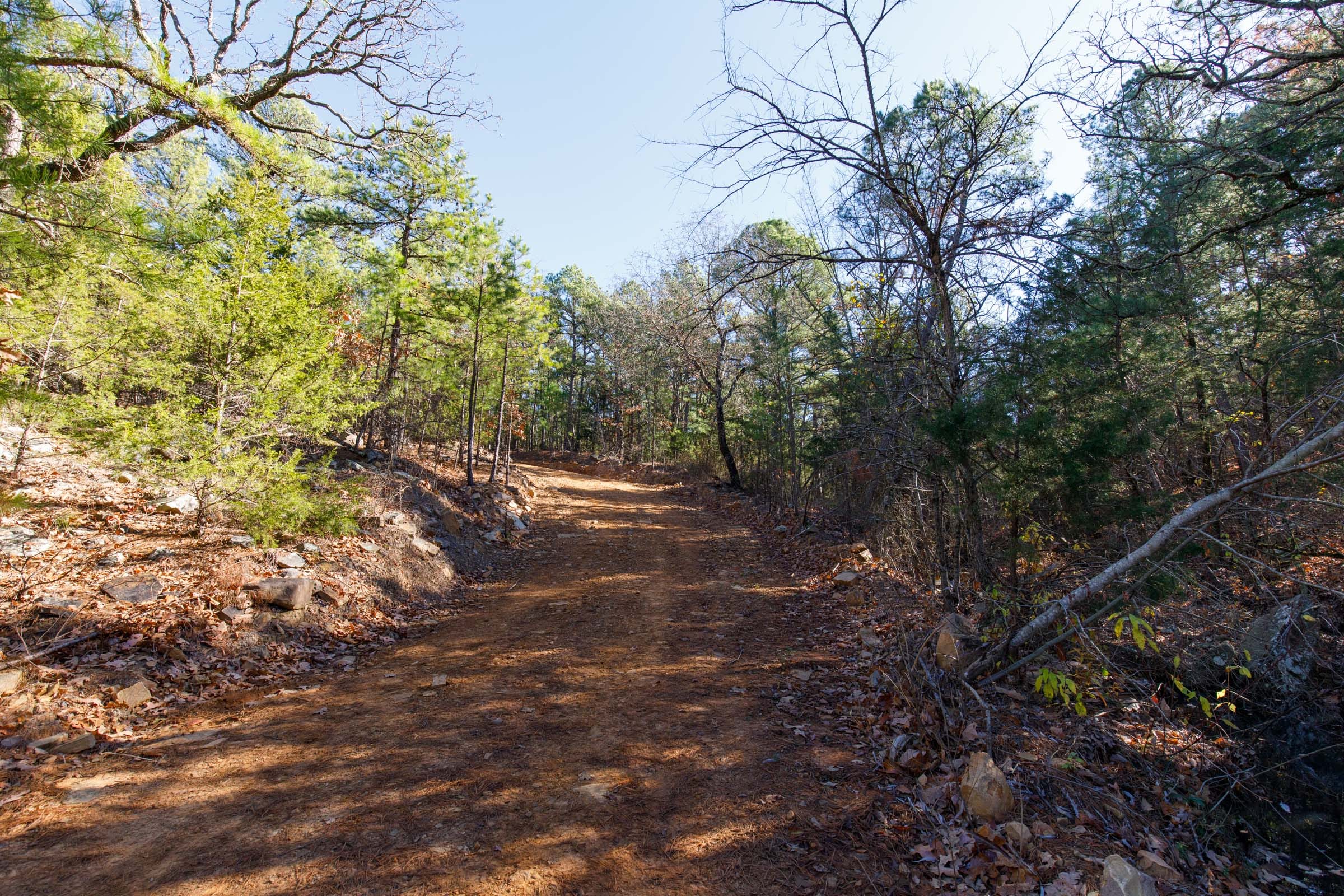 Stone Bridge Phase II Tract 123 photo 5