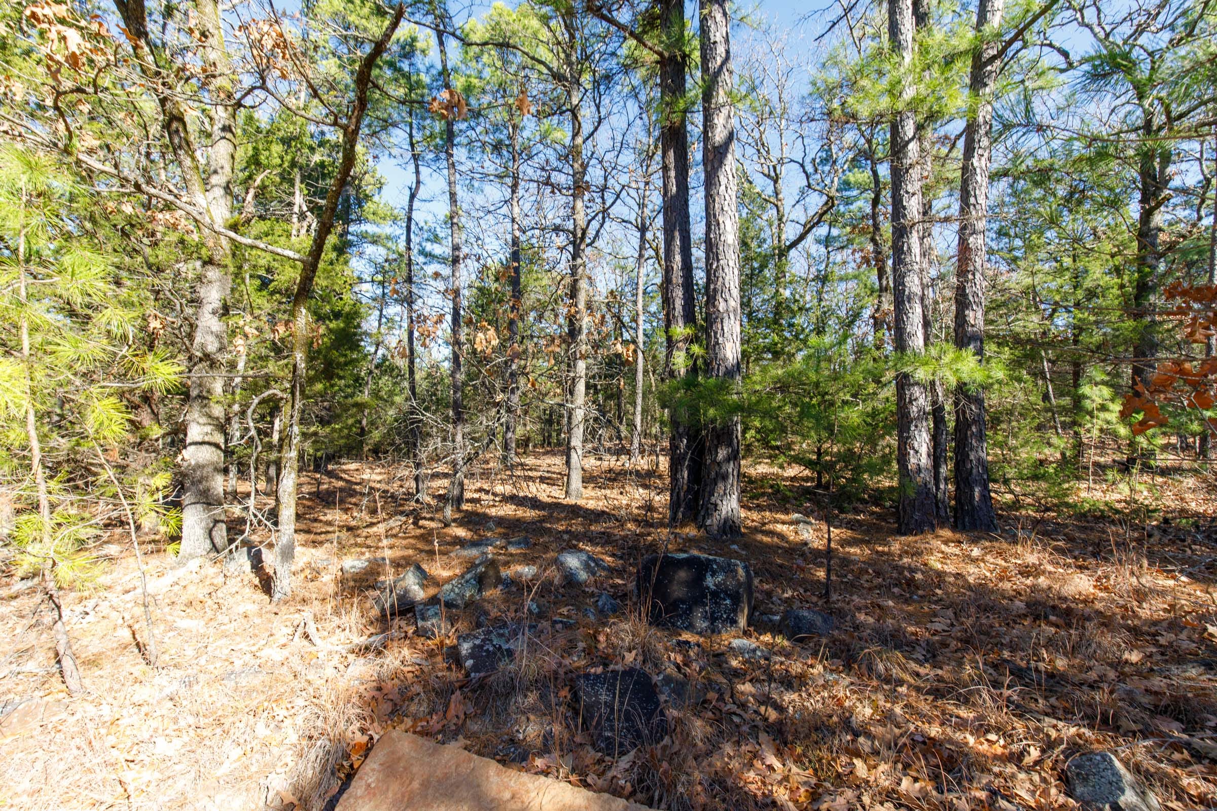 Stone Bridge Phase II Tract 123 photo 7