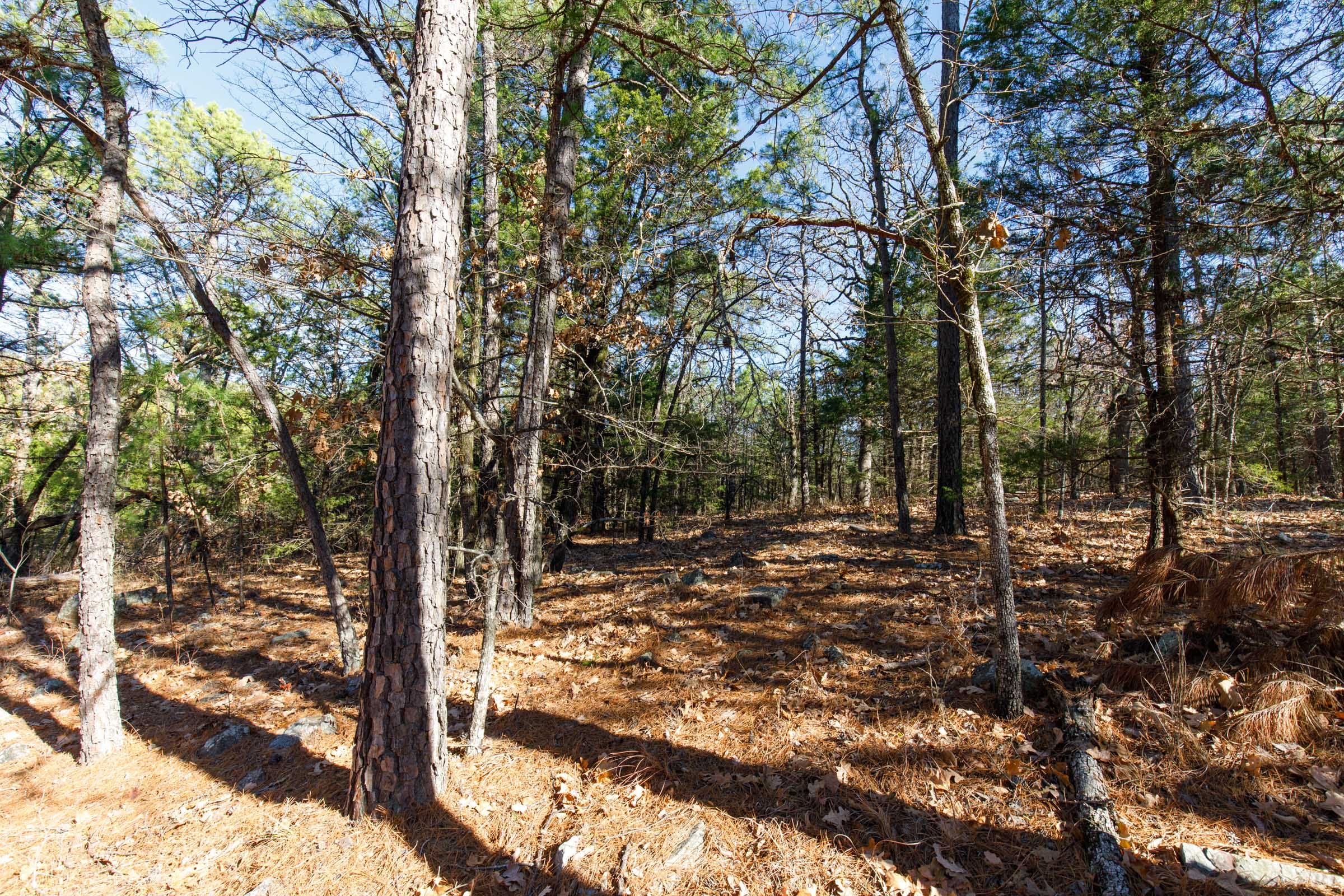 Stone Bridge Phase II Tract 123 photo 9