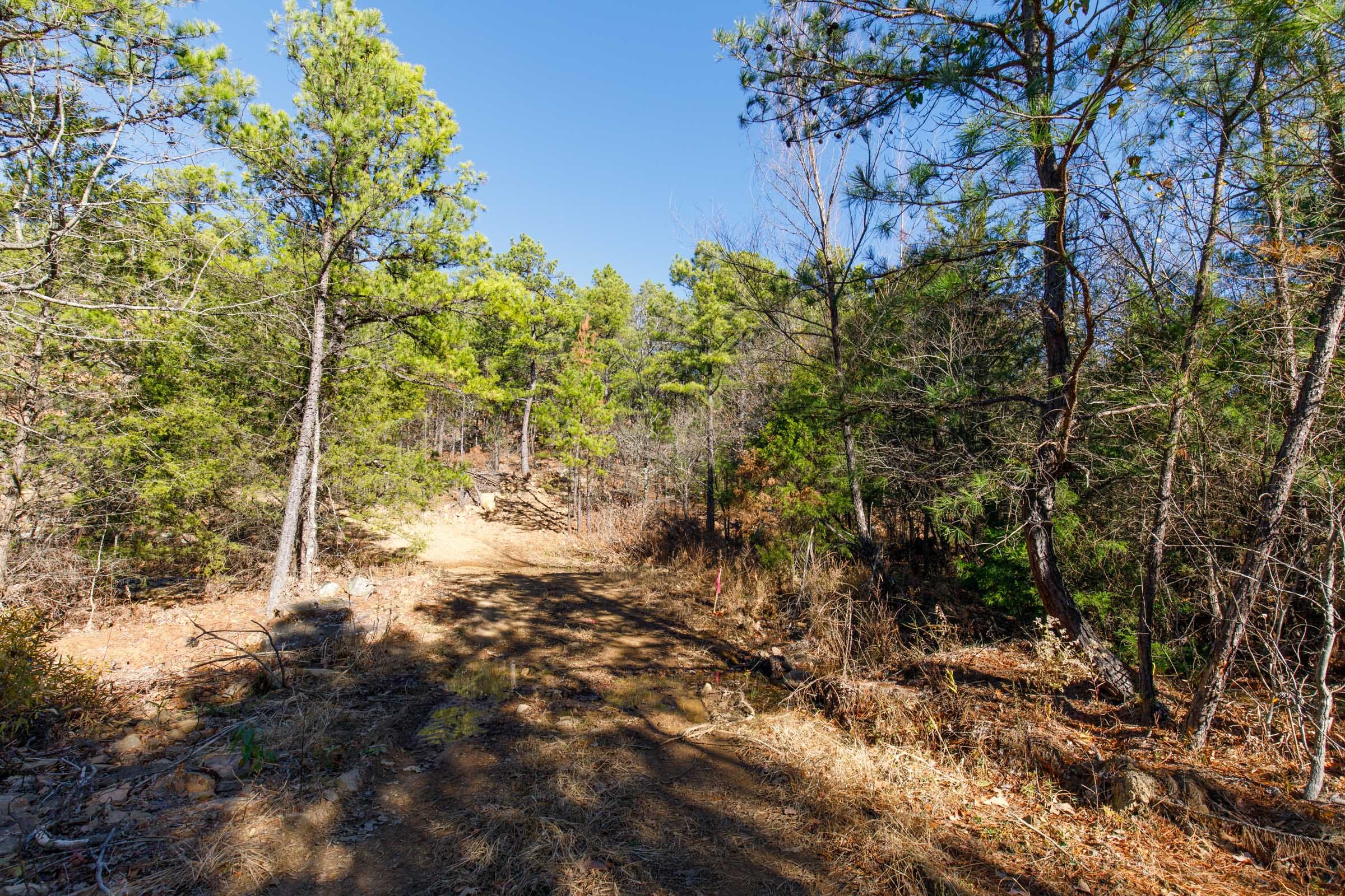 Stone Bridge Phase II Tract 123 photo 12