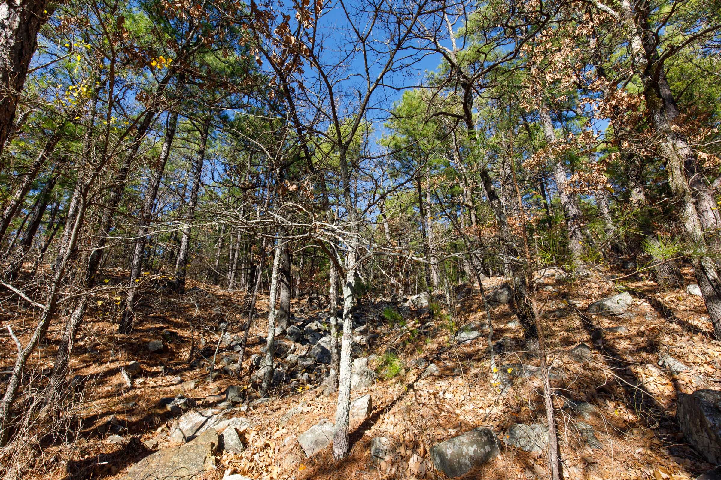 Stone Bridge Phase II Tract 123 photo 13