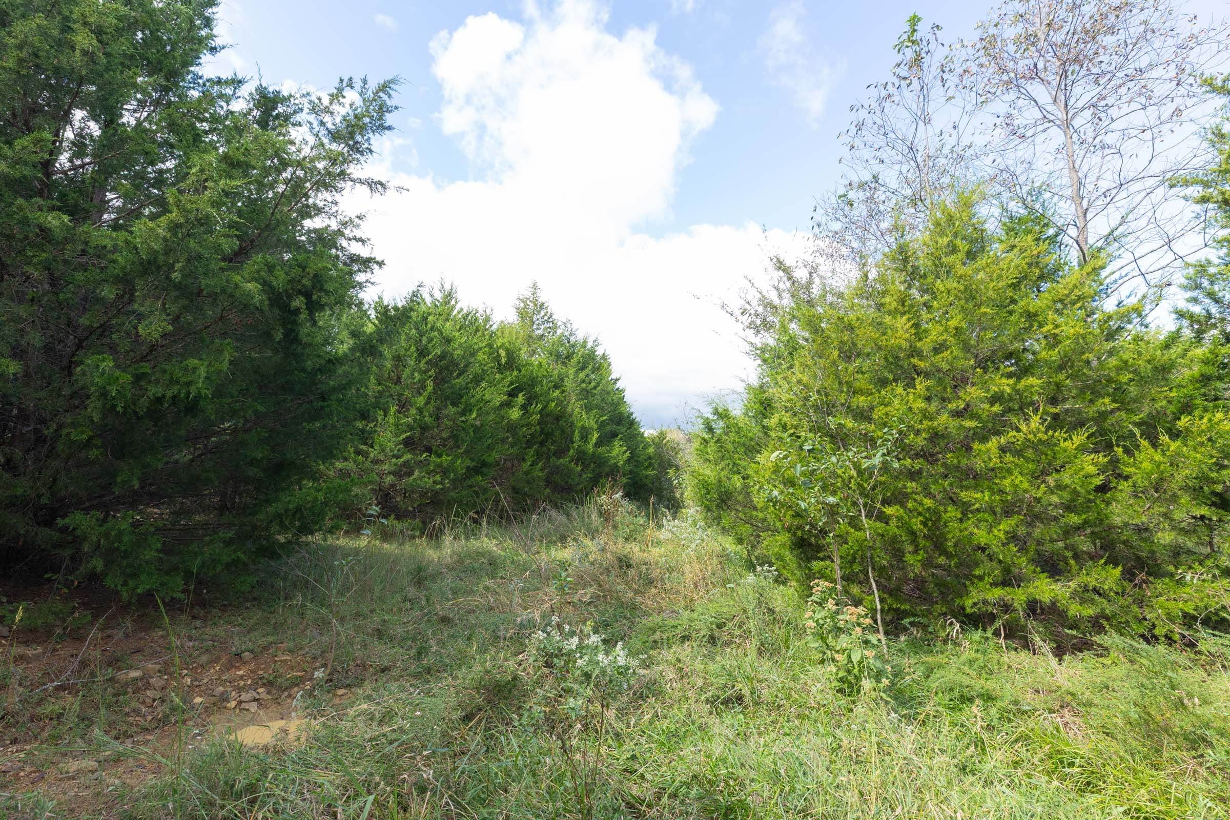Reserves At Cattail Cove Phase II Tract 88 photo 10