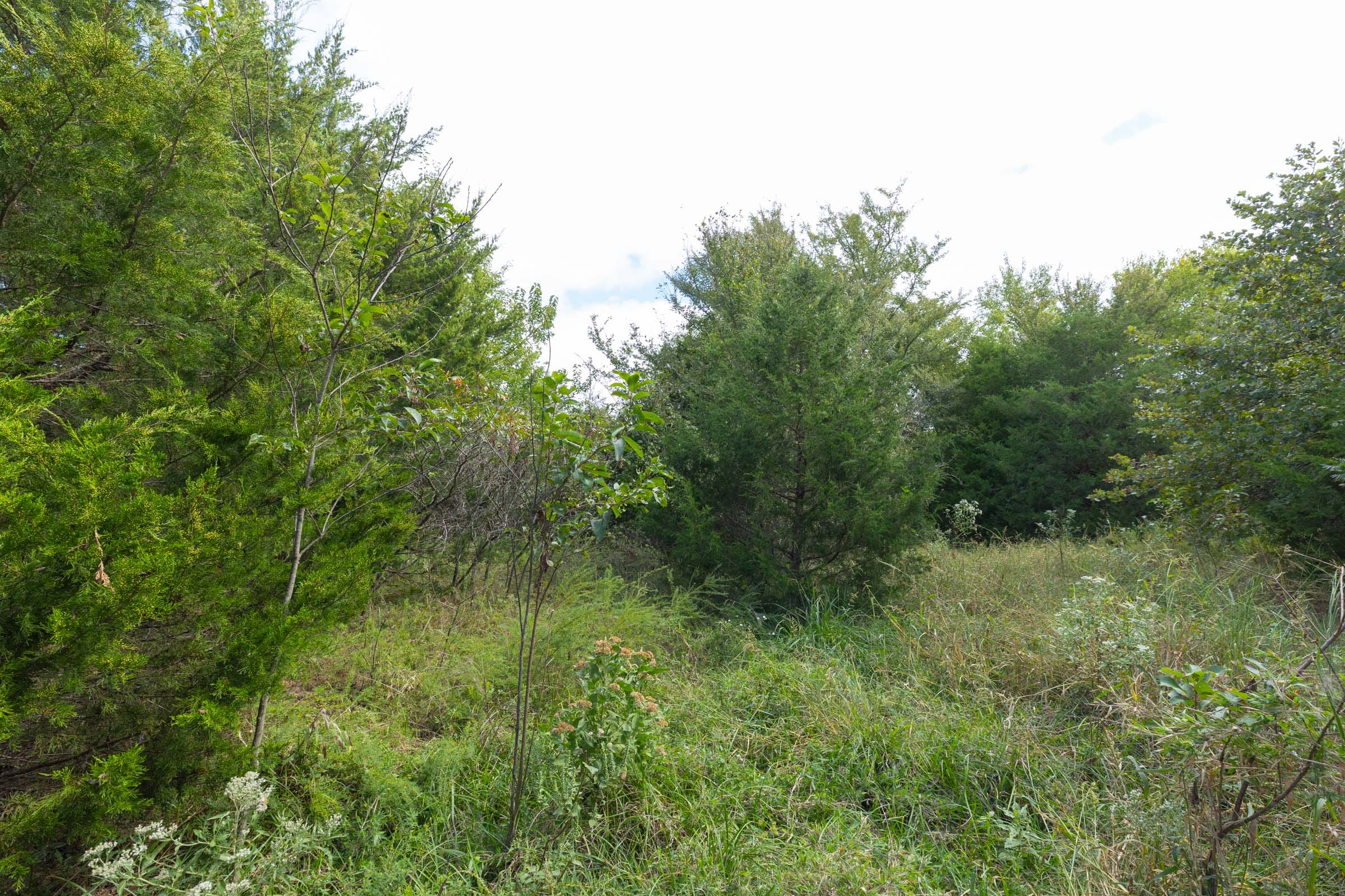 Reserves At Cattail Cove Phase II Tract 88 photo 9