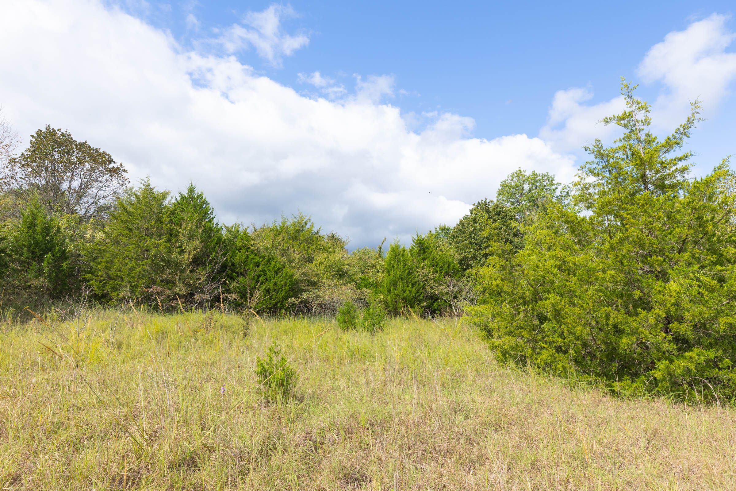 Reserves At Cattail Cove Phase II Tract 88 photo 8
