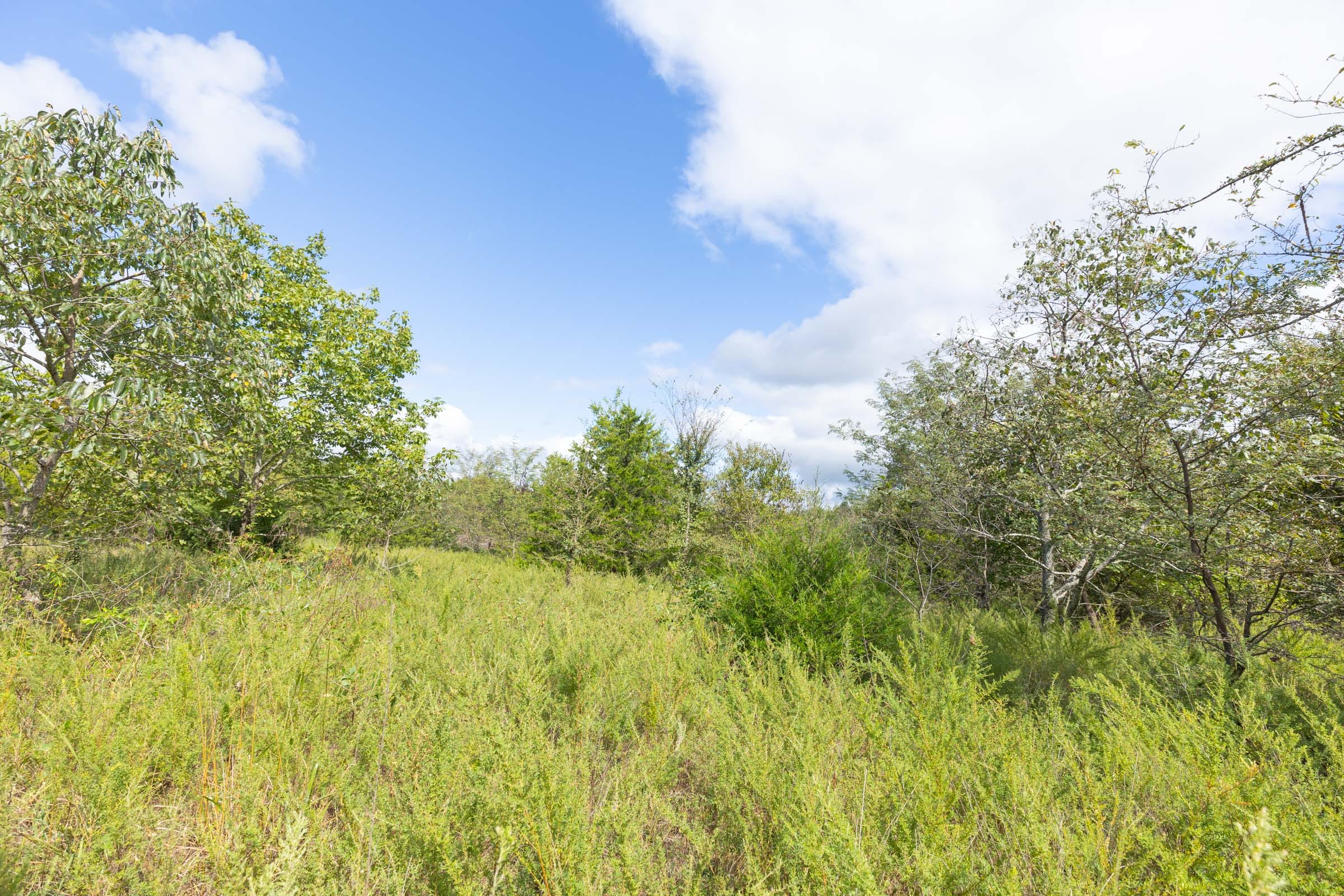 Reserves At Cattail Cove Phase II Tract 88 photo 7