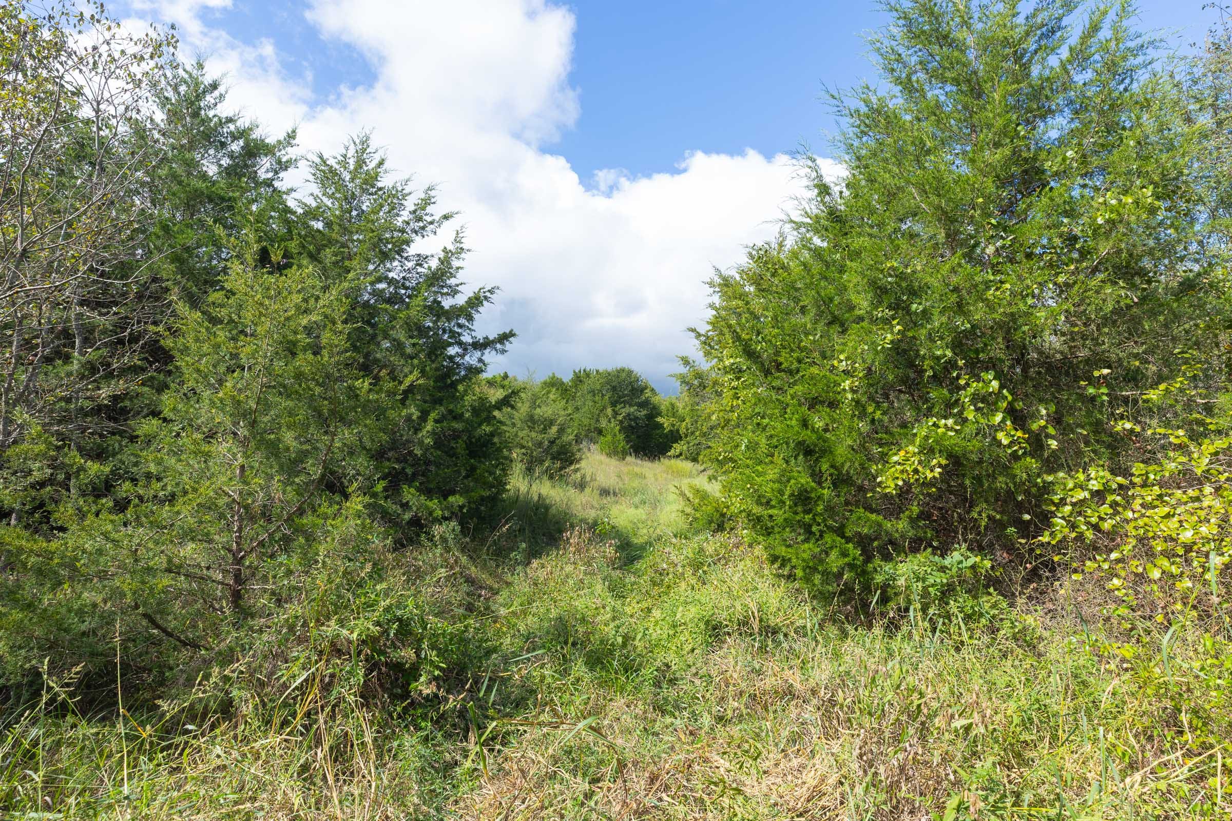 Reserves At Cattail Cove Phase II Tract 88 photo 6