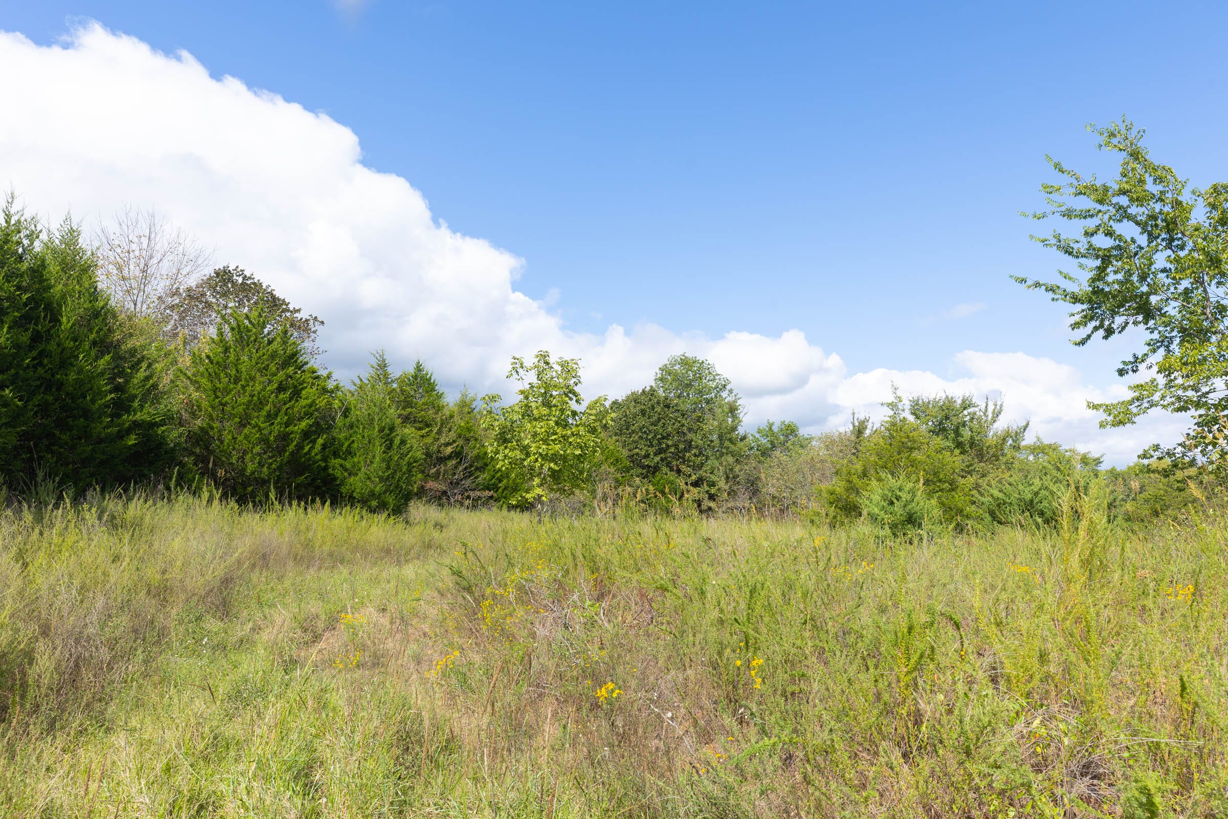 Reserves At Cattail Cove Phase II Tract 88 photo 5